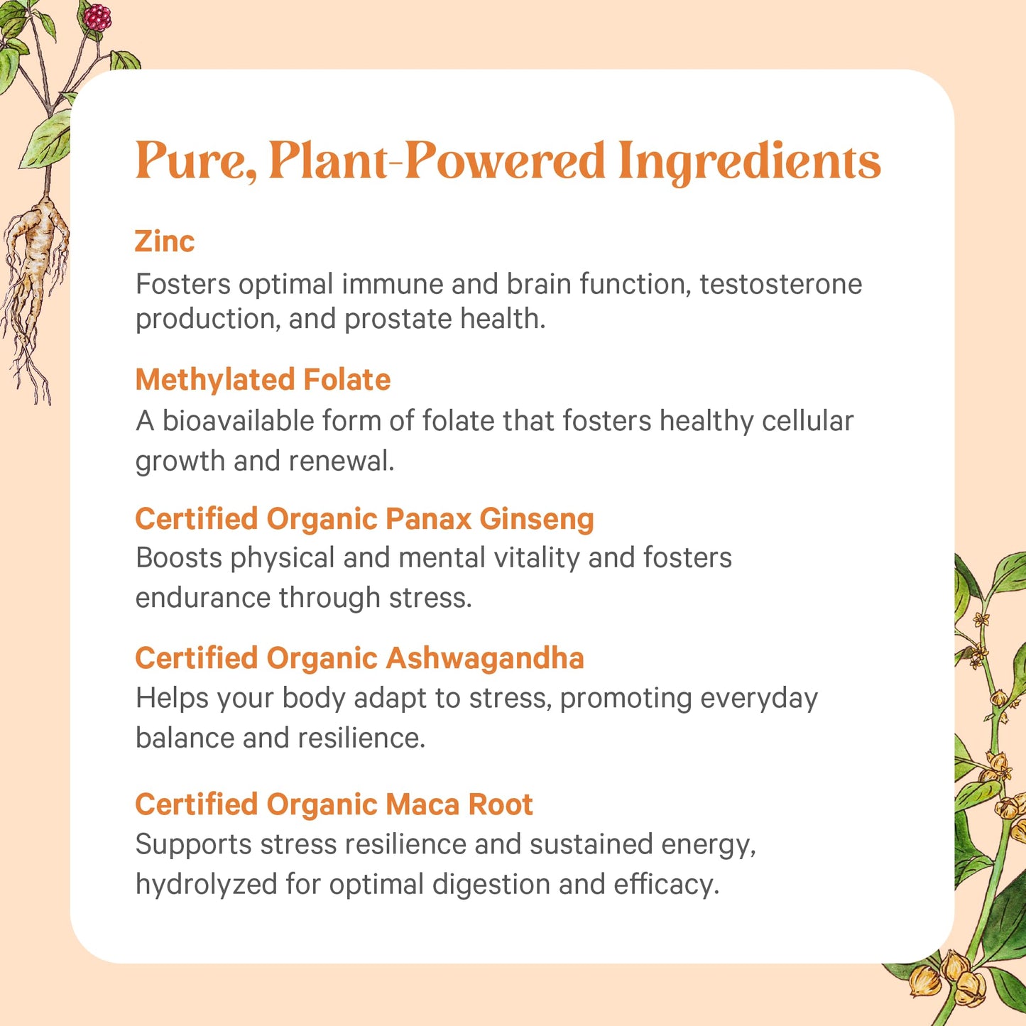 PURE SYNERGY Vita·Min·Vitality Natural Multivitamin for Men Tablet 60