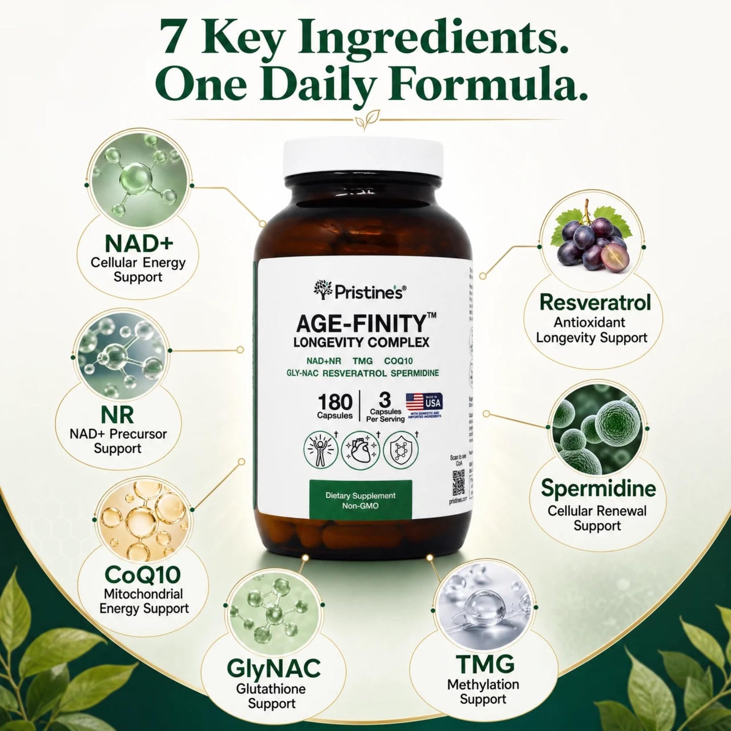 PRISTINE'S Age Finity NAD+ & NR Cellular Optimization Mitochondrial Supplement Capsules, 180 Count