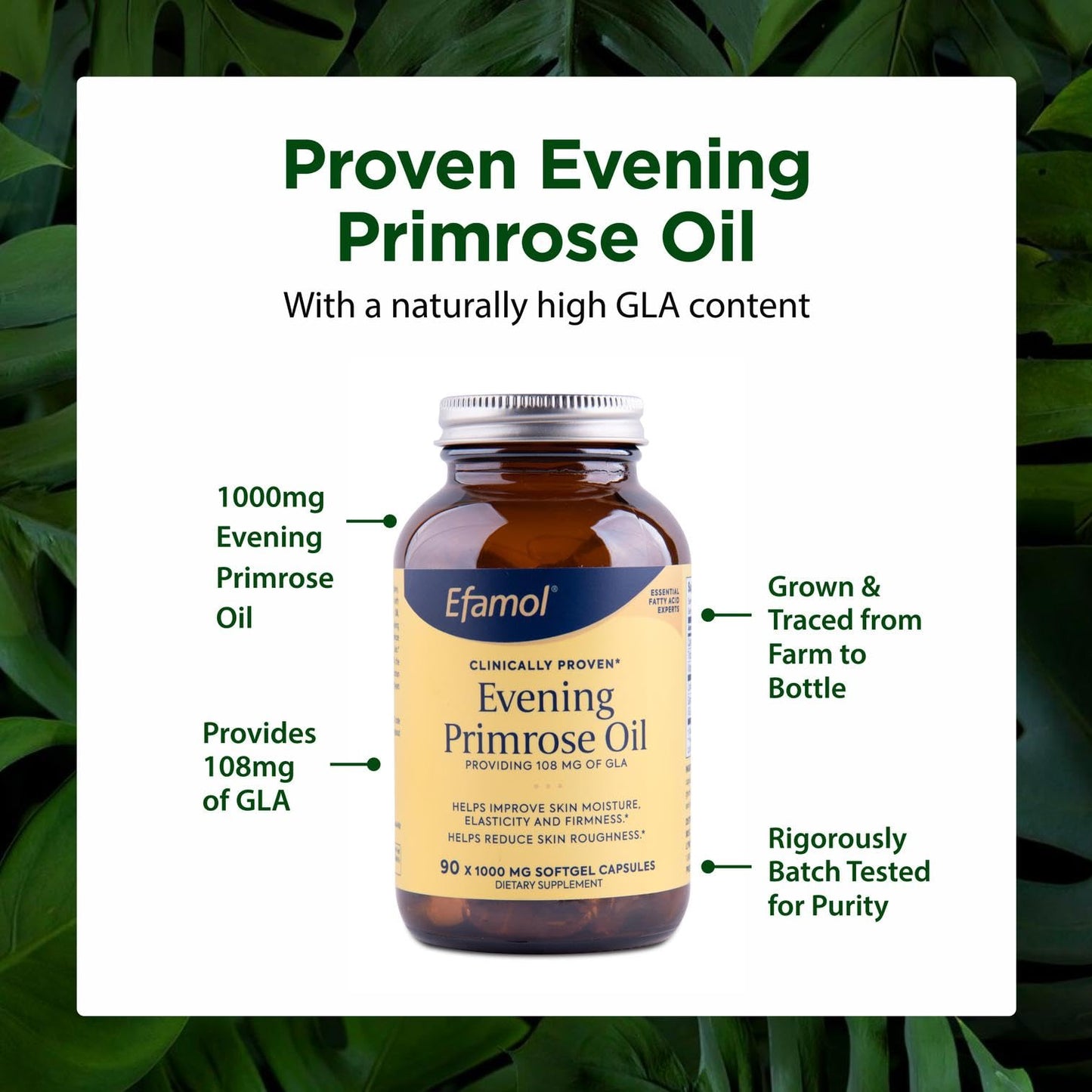 Flora Efamol Pure Evening Primrose Oil Capsule, 90 Count
