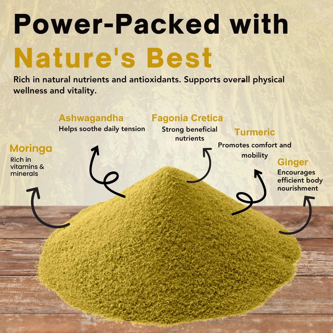 MexiVida Health Powder 2.65 Ounce