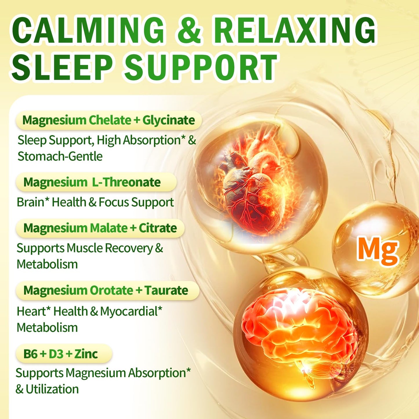 VivoNu Magnesium Complex for Women & Men with Cortisol Support, D3, Zinc, 7 Forms Magnesium Supplement Capsules, 960 Capsules