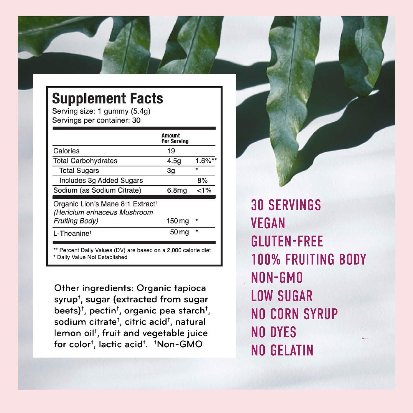 Microjoy Concentrate Gummies – Focus, Memory, Brain Health & Mood Support Supplement – 30 Count