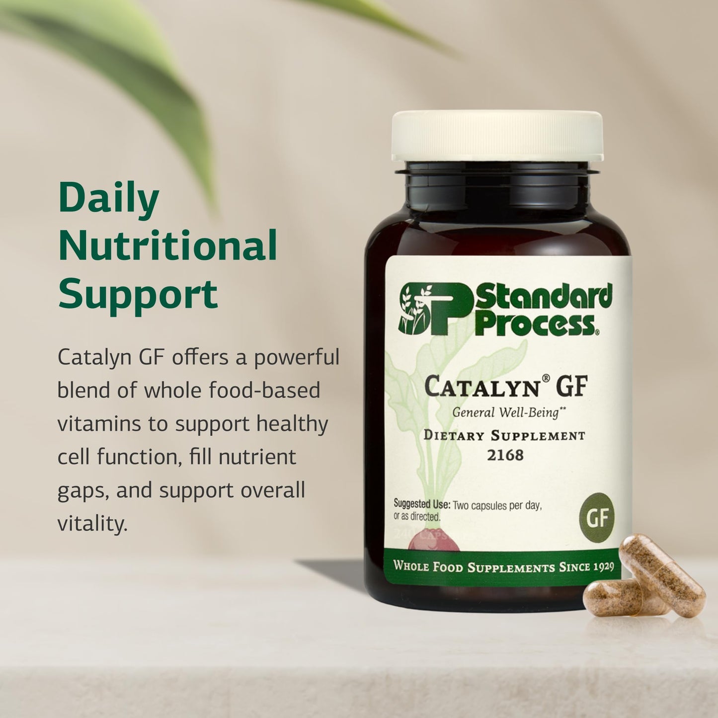 Standard Process Inc. Catalyn Gluten Free 240 Capsules
