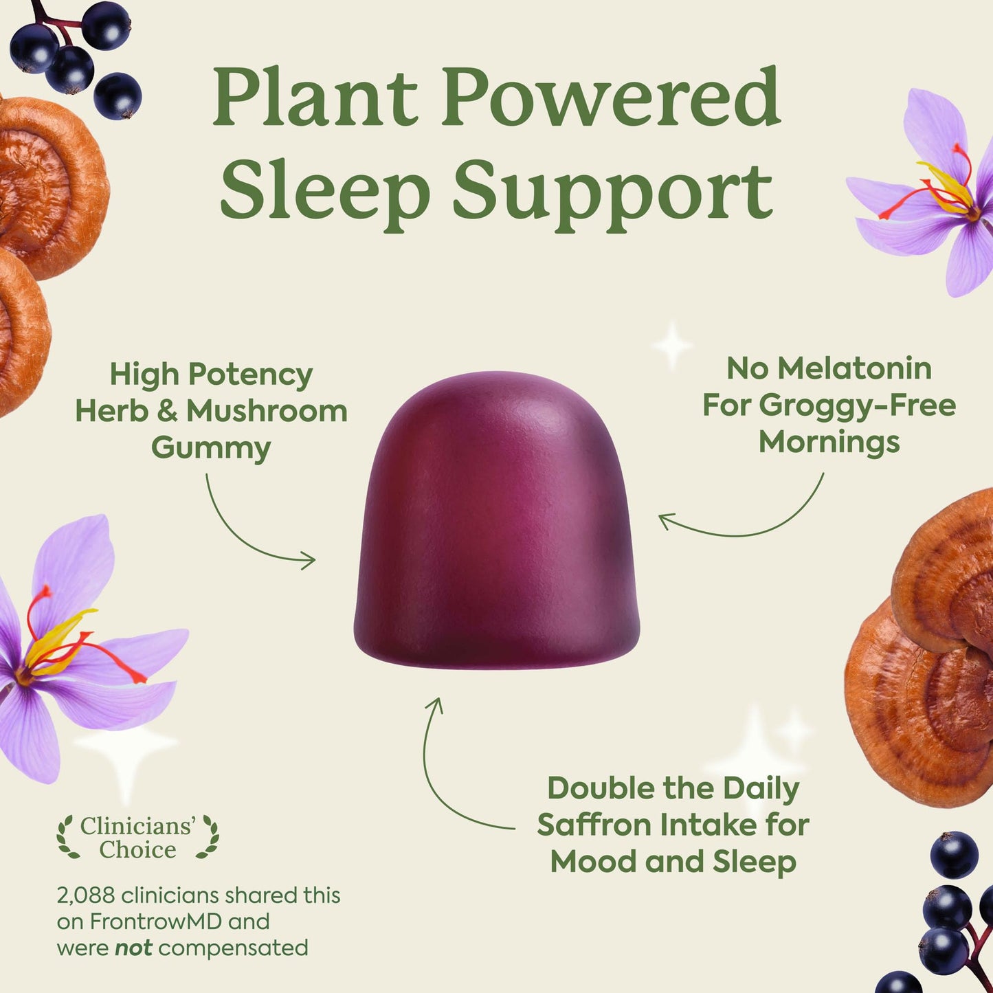 Plant People WonderSleep Mushroom Gummies 60 Count