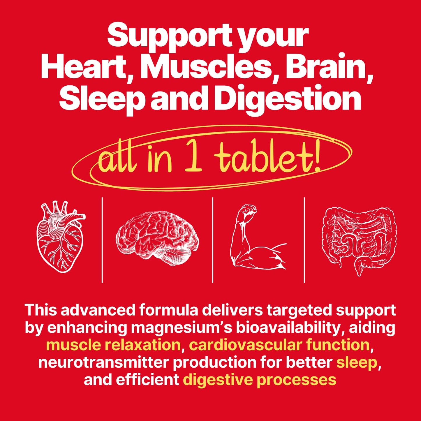 anocin 4X Magnesium Complex 200 mg with Magnesium Glycinate, Citrate, B12 High Absorption, Taurate, Malate, Bromelain, Collagen Type II, Hyaluronic Acid, Heart, Muscle & Joint Support, 60 Tablets
