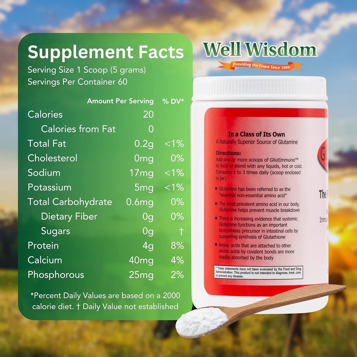 Well Wisdom Proteins Glut Immune L-Glutamine Powder, 10.6 Ounce