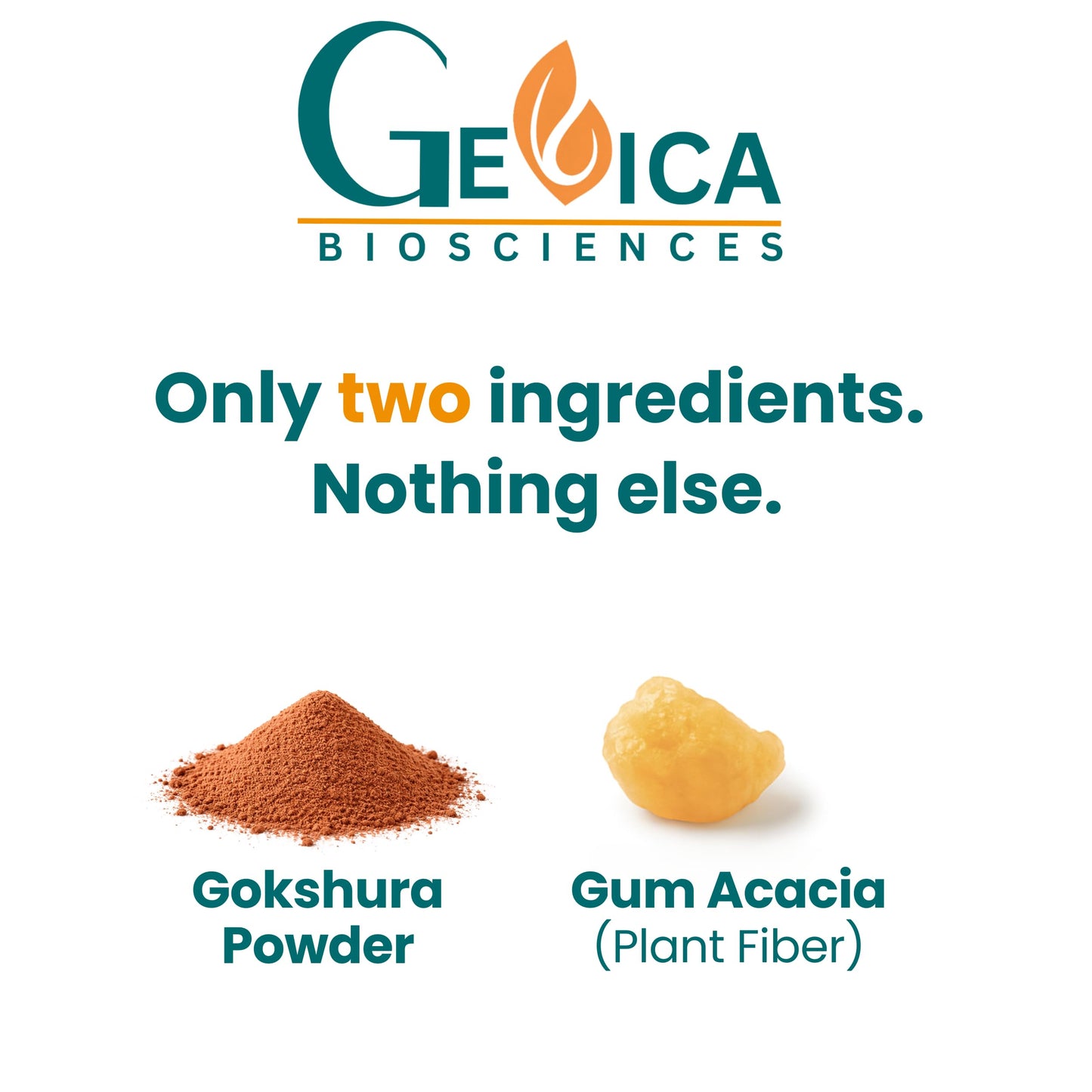 GeVica Biosciences Gokshura (Tribulus terrestris) Whole Herb Supplement Tablet, 120 Tablets