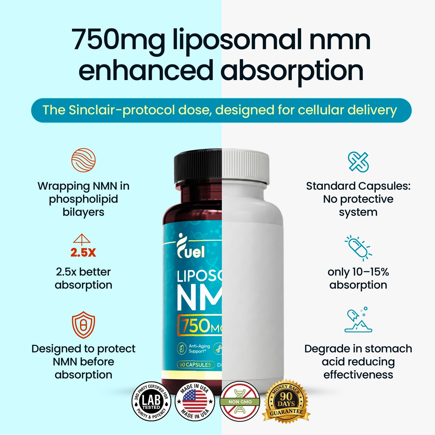 Fuel Liposomal NMN 750mg per Serving (500mg NMN + 250mg TMG) – Enhanced Absorption Nicotinamide Mononucleotide Supplement – NAD+ Support, 60 Capsules