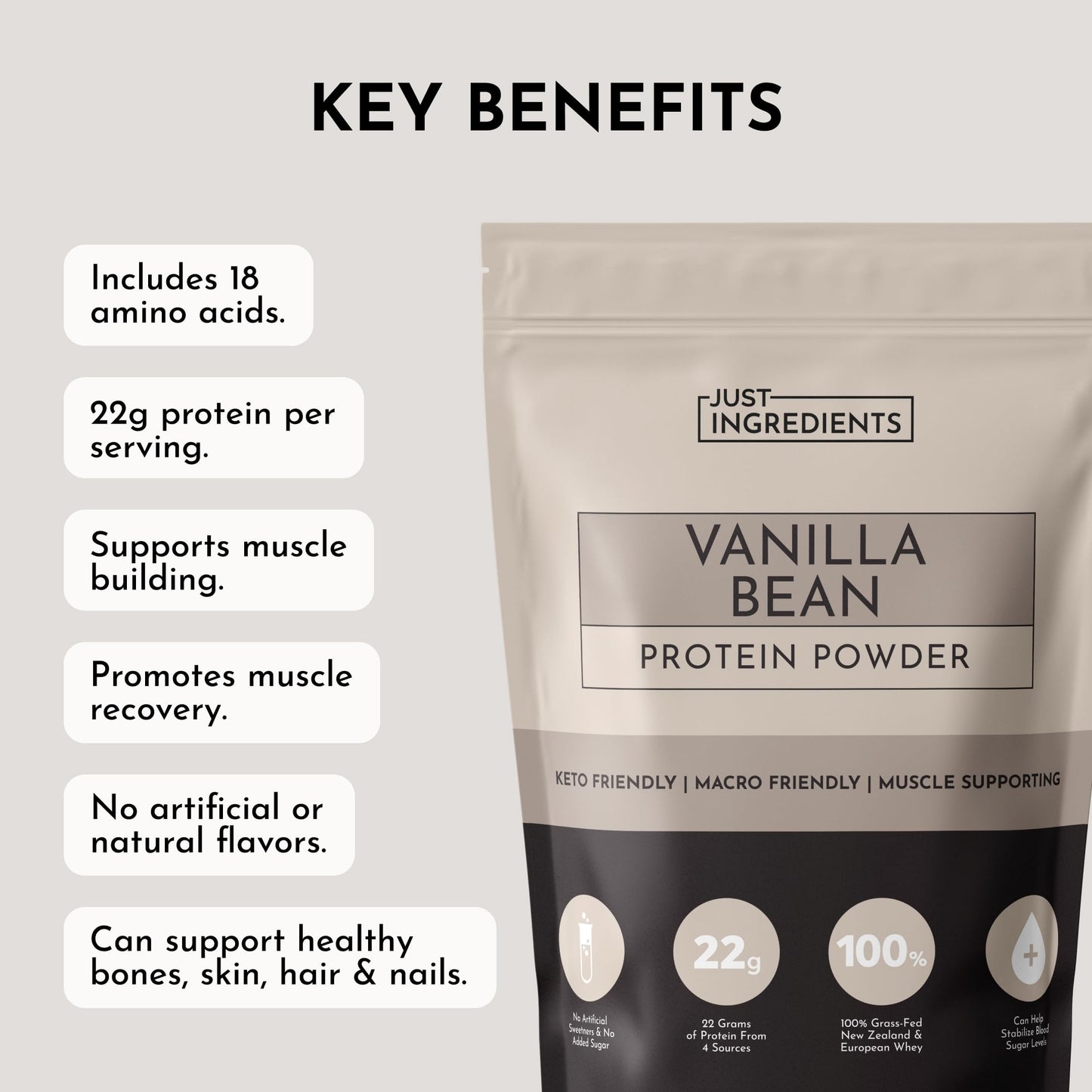 JUST INGREDIENTS Vanilla Bean Protein Powder (20 Servings)