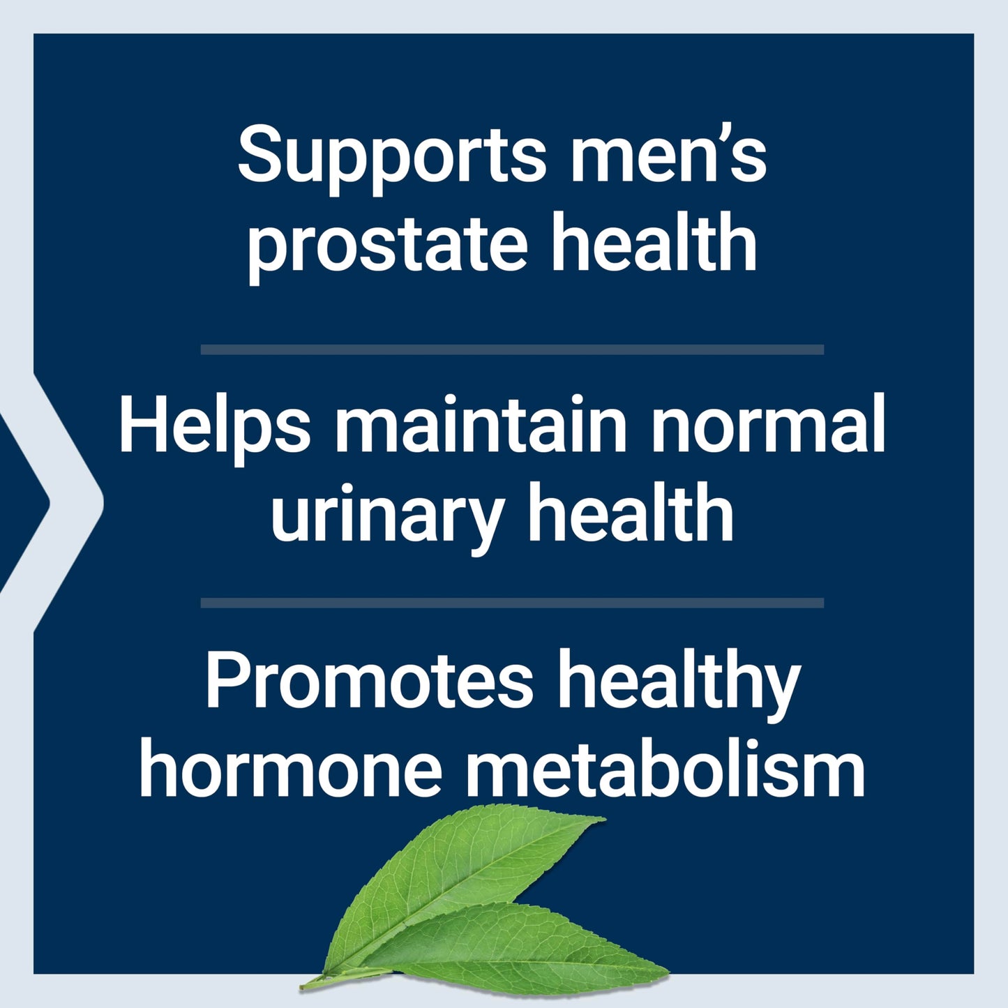 Life Extension PalmettoGuard Saw Palmetto, Nettle Root and Beta-Sitosterol 60 Softgels