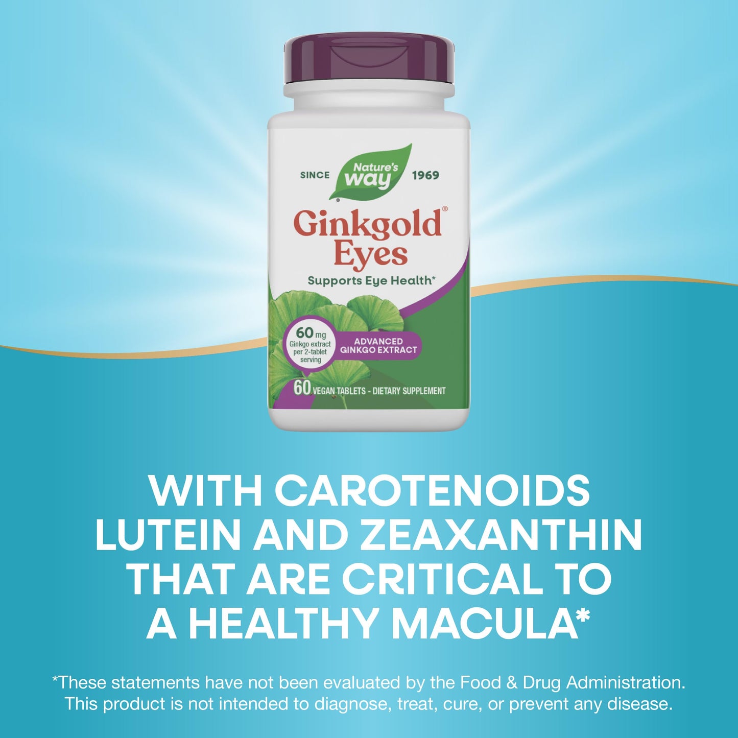 Nature's Way Ginkgold Eyes Ginkgo Biloba Tablets, 60 Tablets