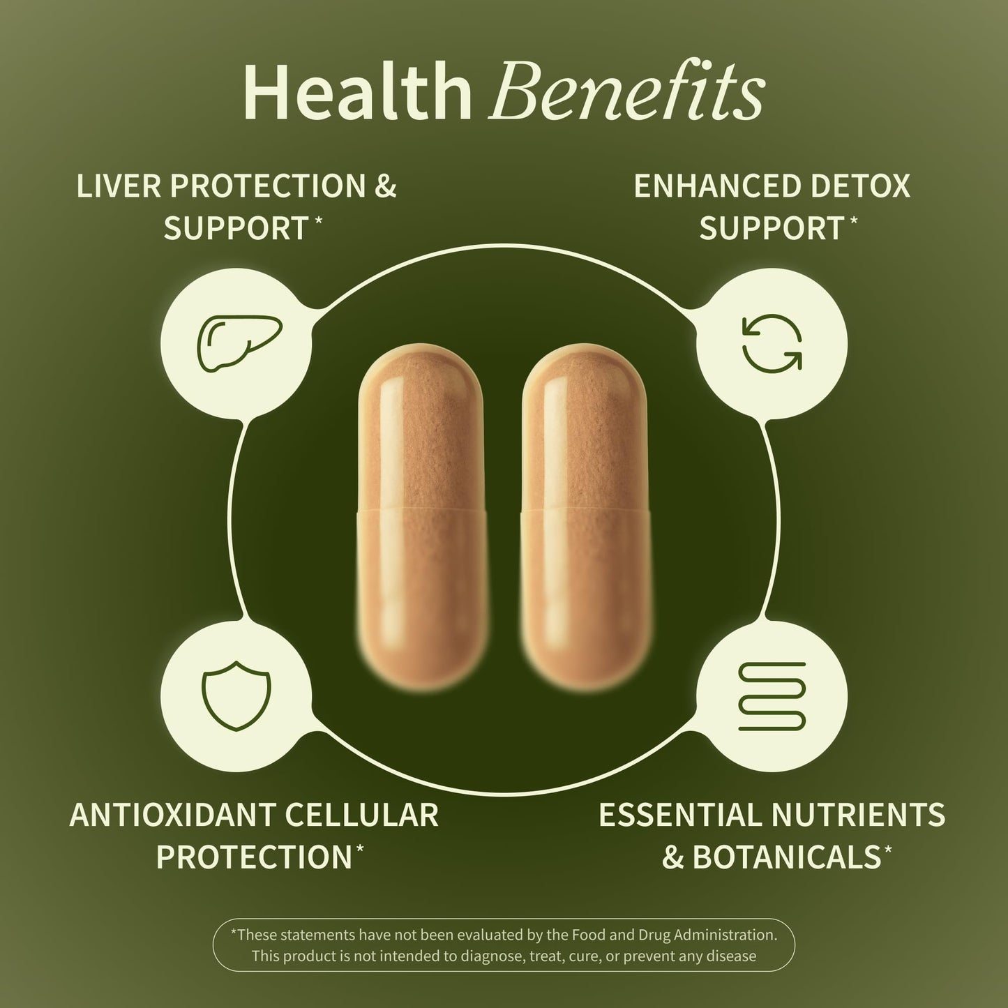 Snap Supplements Milk Thistle Silymarin Liver Support & Detox Capsules, 60 Count