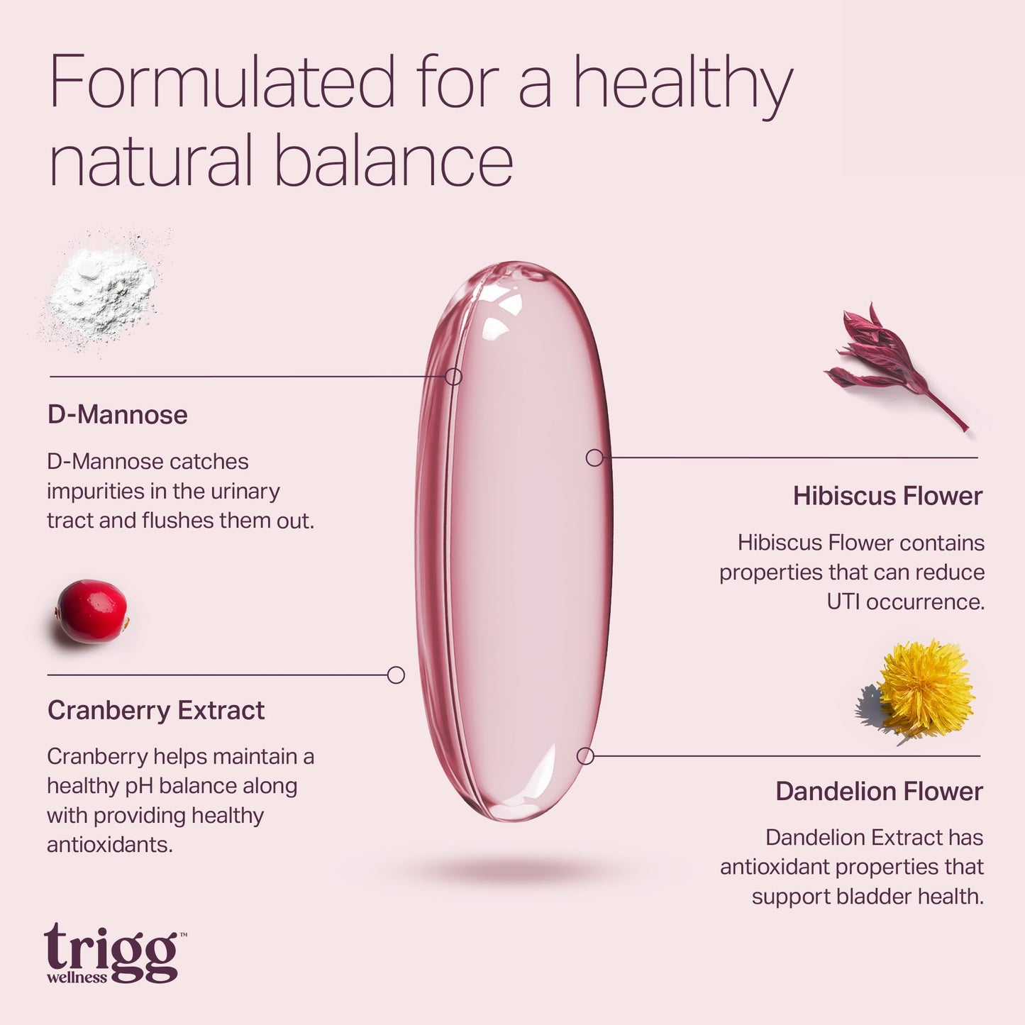 Trigg Cranberry D-Mannose Urinary Tract Health Supplement Capsule 90 Count