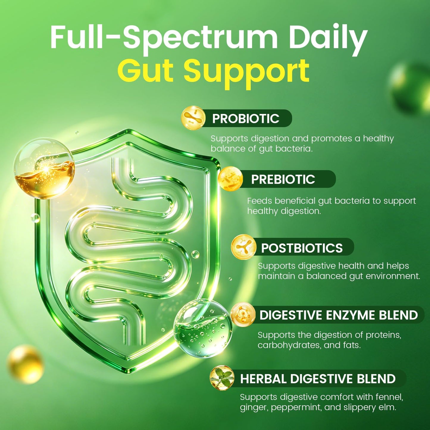 Ashenutri Probiotic Prebiotic Postbiotic for Women & Men, 30 Billion CFU, 24 Strains with Digestive Enzymes, Prebiotic Fiber & Slippery Elm – Complete Daily Immune & Gut Support, Capsule, 120 Count