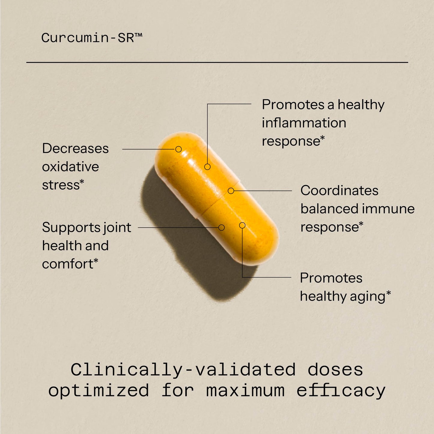 Quality of Life Curcumin-SR Healthy Aging, Inflammation Support 60 Capsules