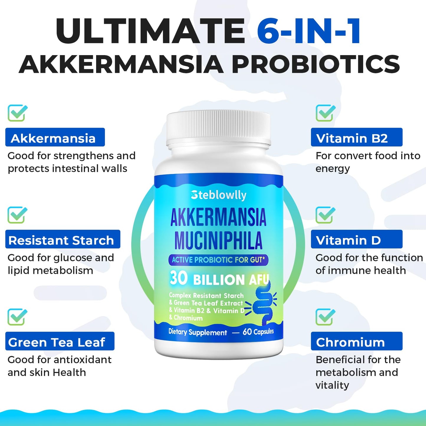 Steblowlly Akkermansia Muciniphila for Gut Health, Metabolic*, 60 Capsules