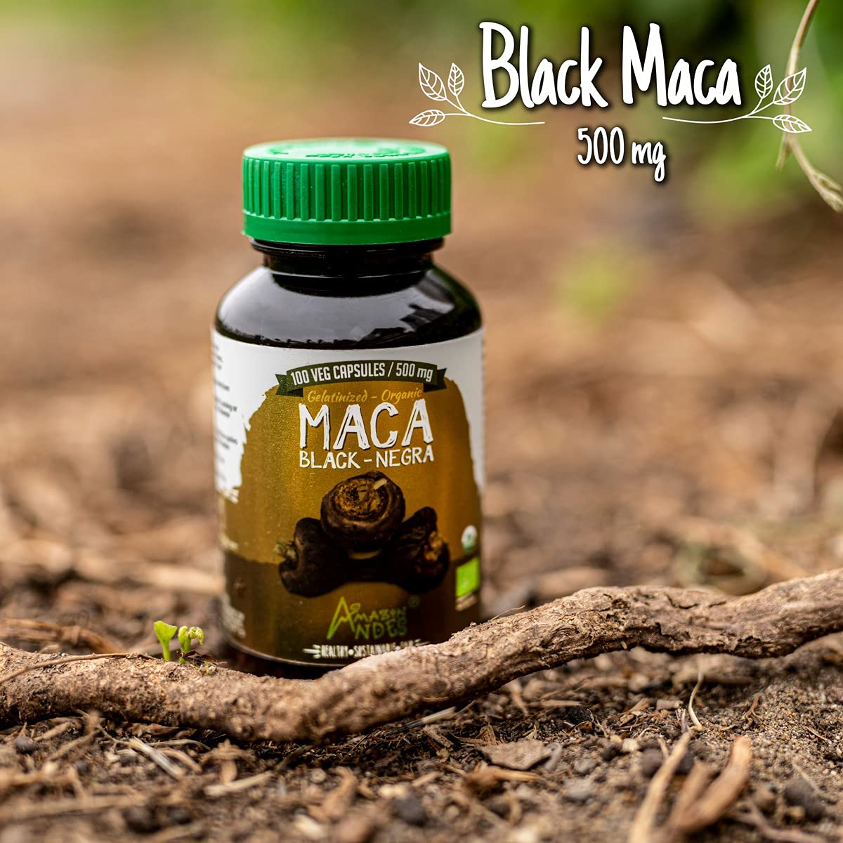 Amazon Andes Healthy Sustainable Fair Black Maca Root Capsules 100 Count