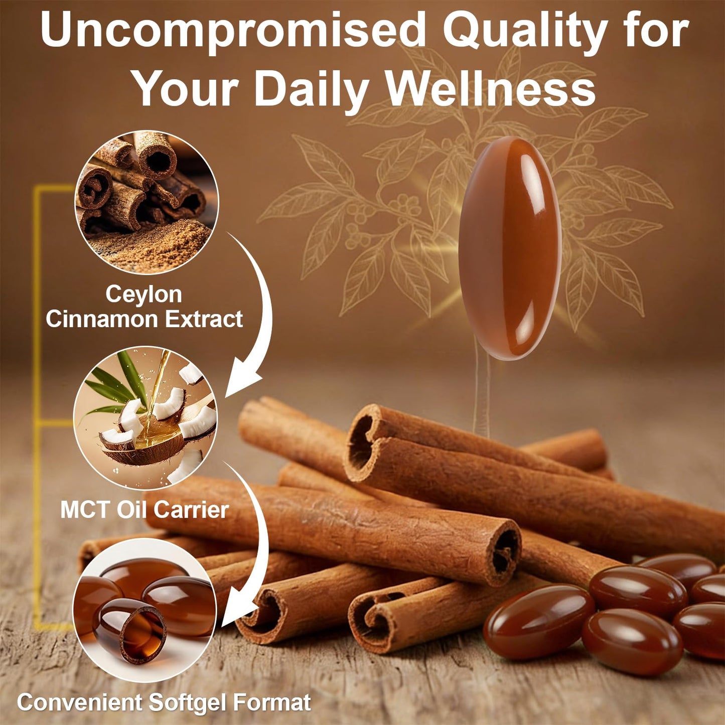 Dvoevivh Ceylon Cinnamon Softgels with MCT Oil 300 Capsules