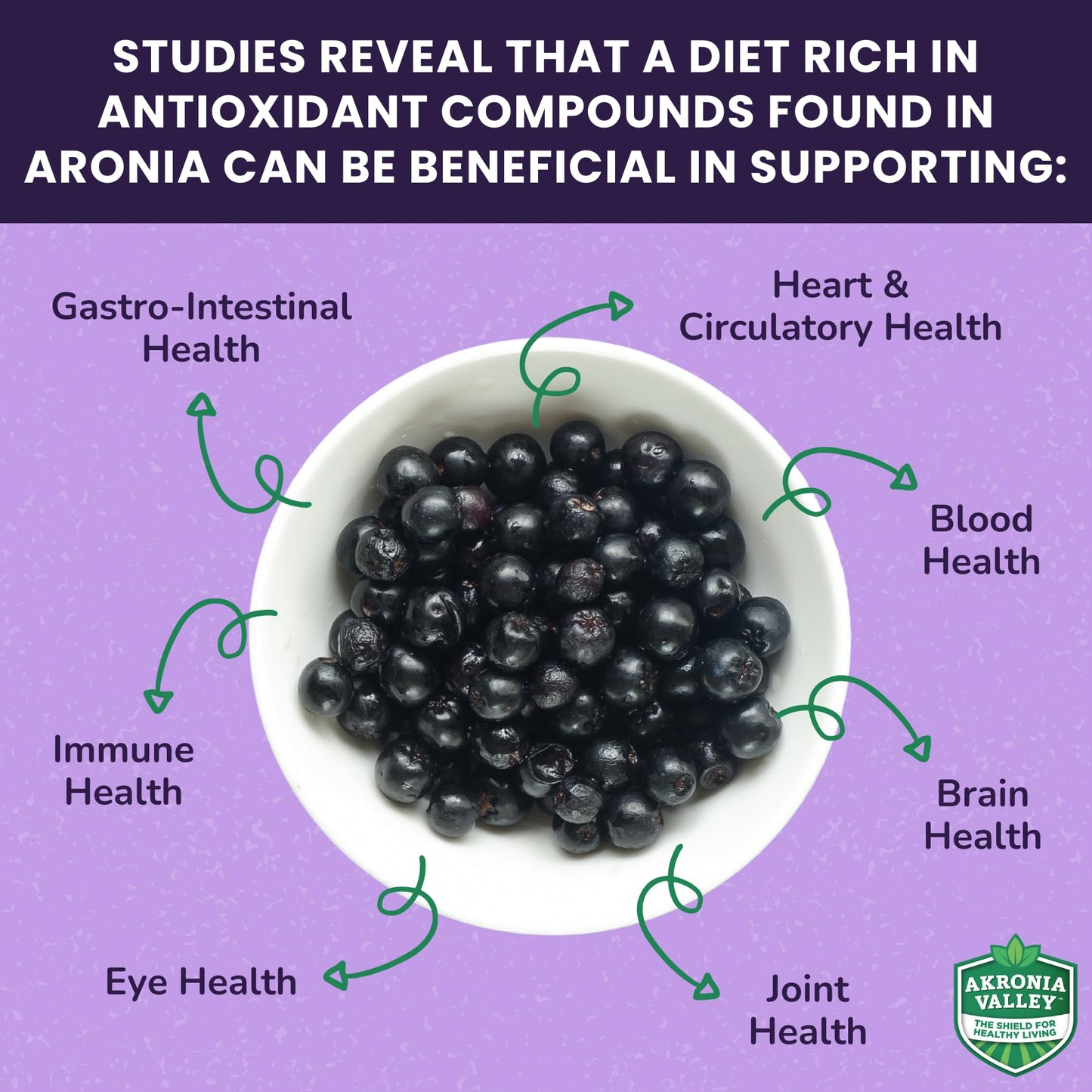 Akronia Valley Aronia Berry Gummies 45 Count