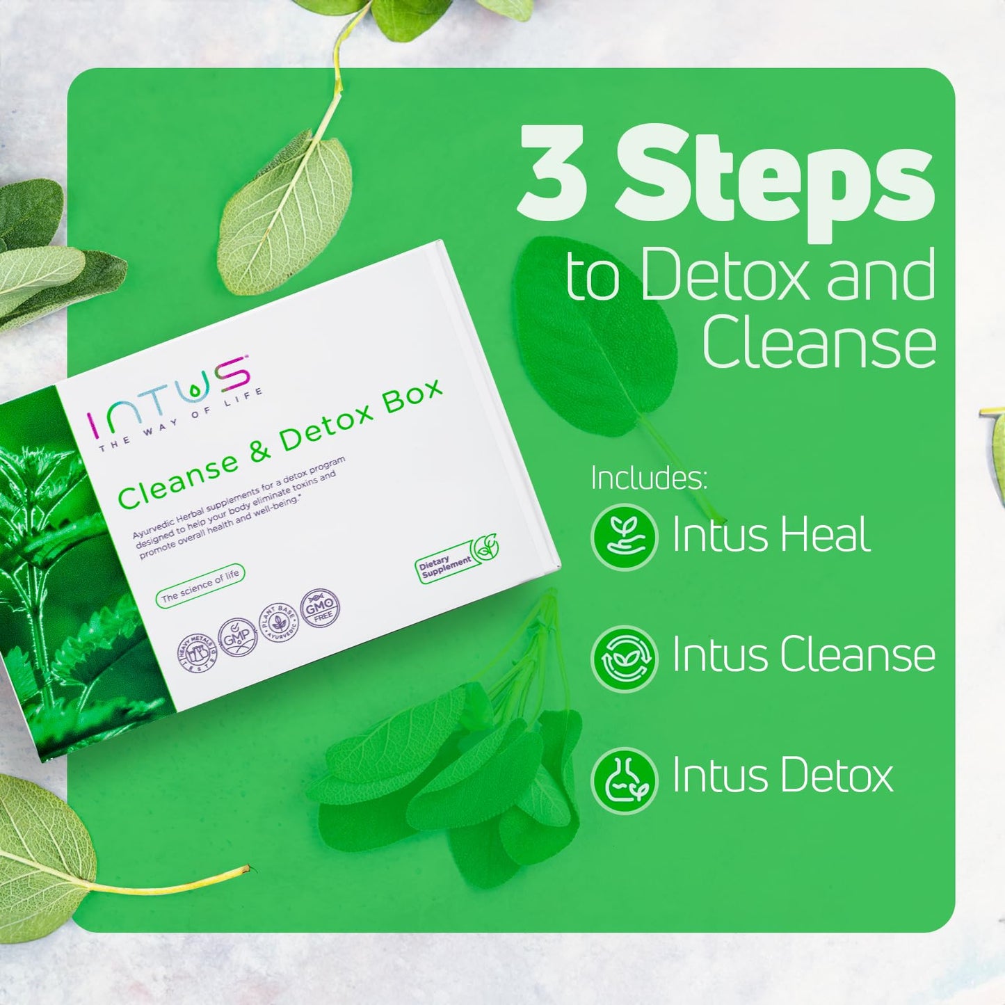 INTUS THE WAY OF LIFE Clean and Detox Box Capsules 12