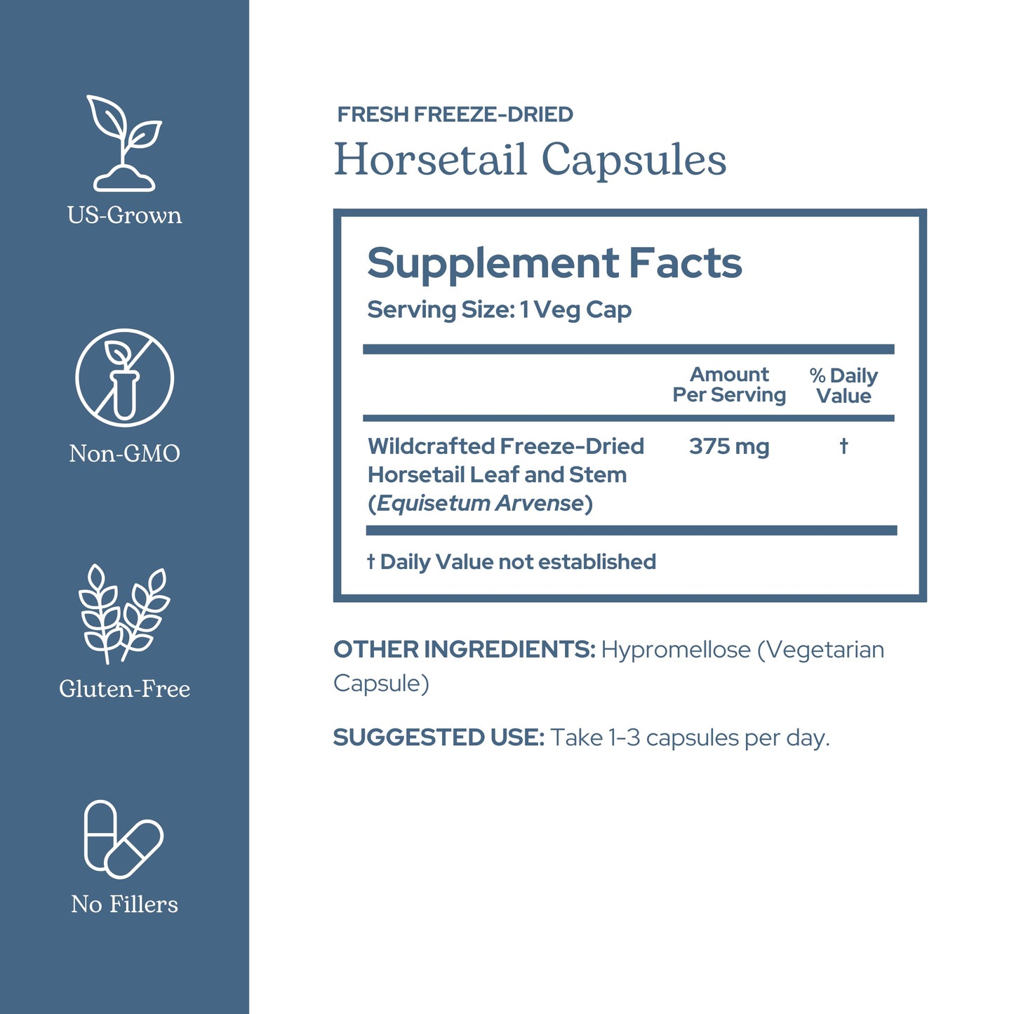 Eclectic Institute Horsetail Capsules, 90 Count