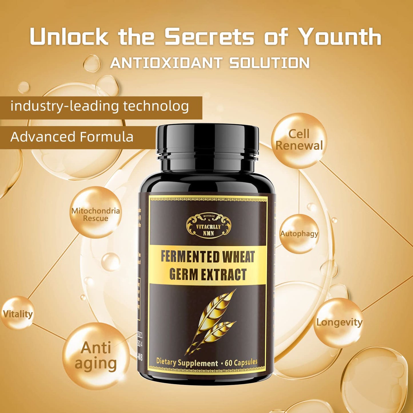 VITACRLLYNMN 1000mg Spermidine Supplements Fermented Wheat Germ Extract with Zinc 60 Capsules