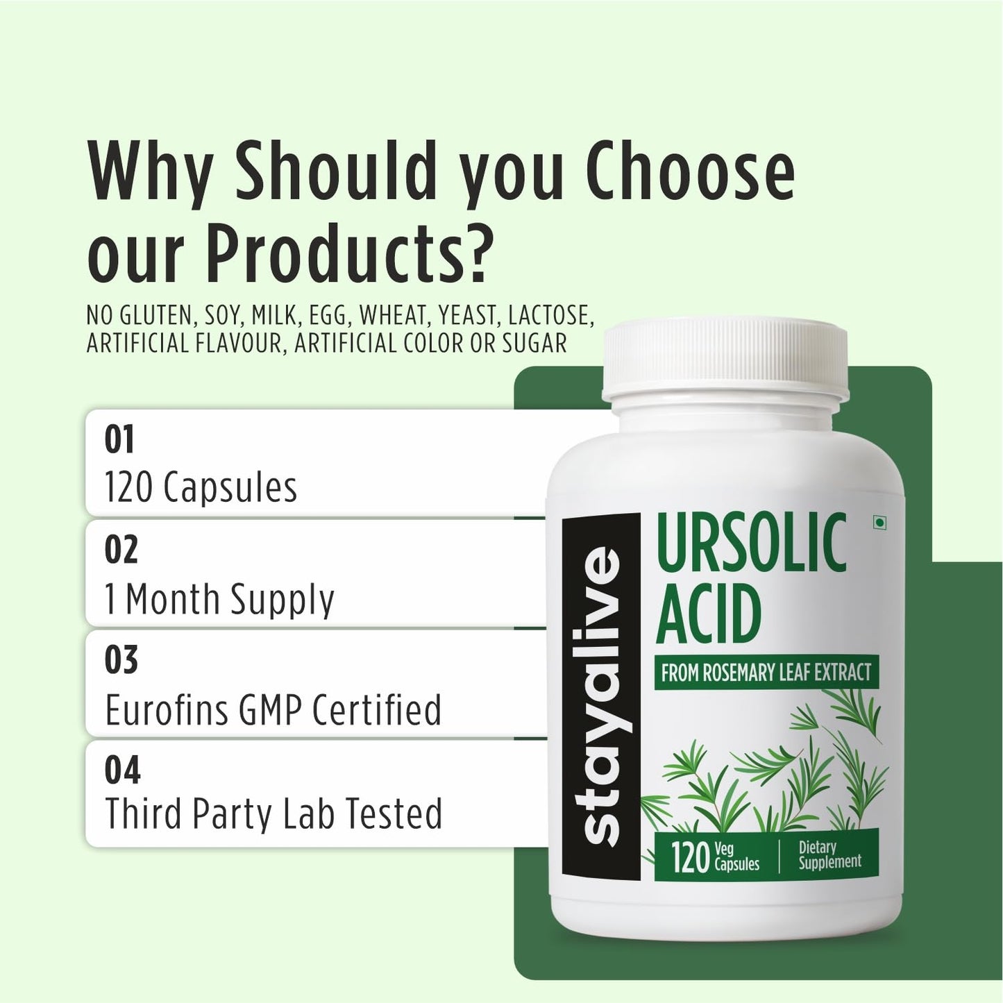 STAY ALIVE Ursolic Acid Supplement 300mg Capsule, 120 Capsules