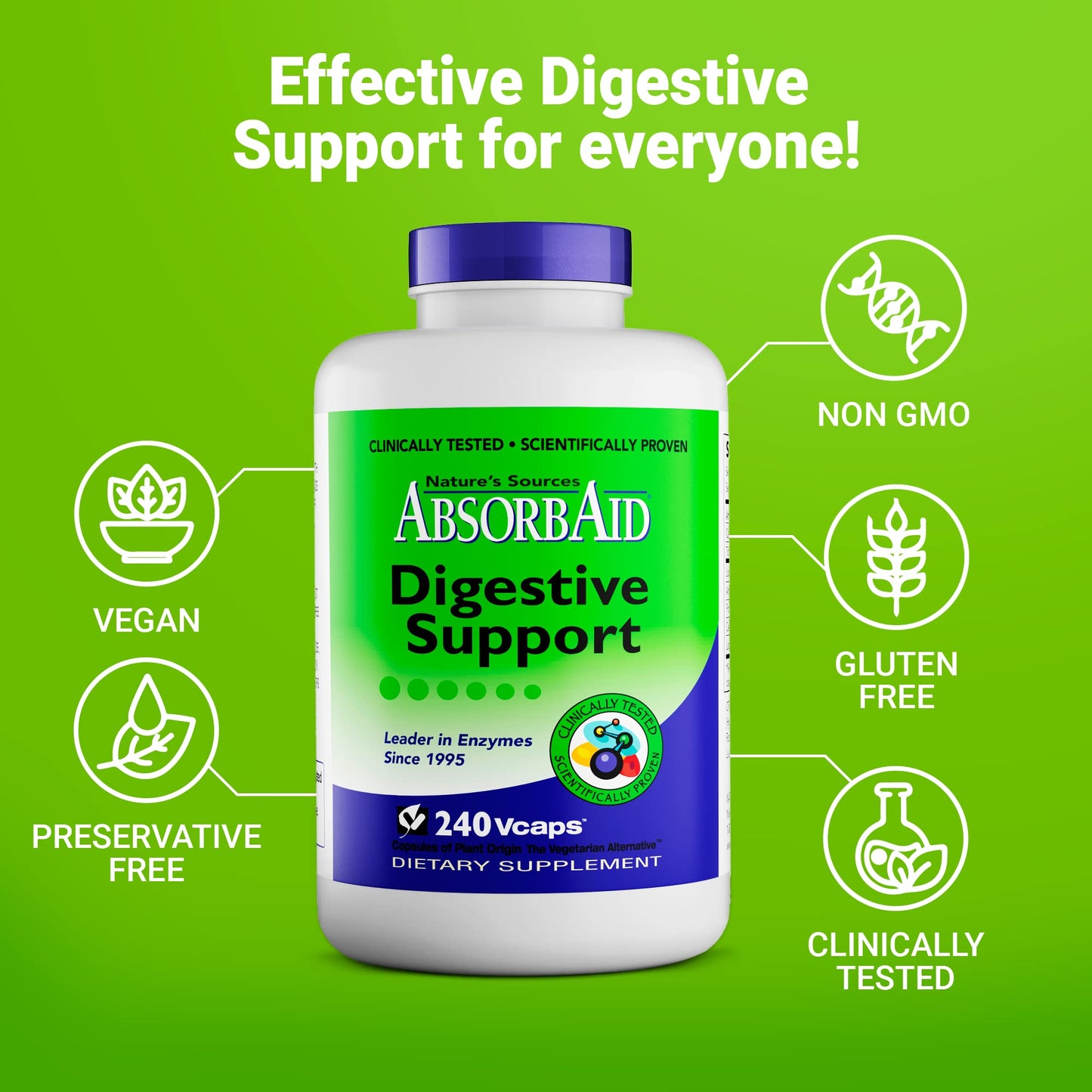 AbsorbAid Digestive Enzymes Capsules 240