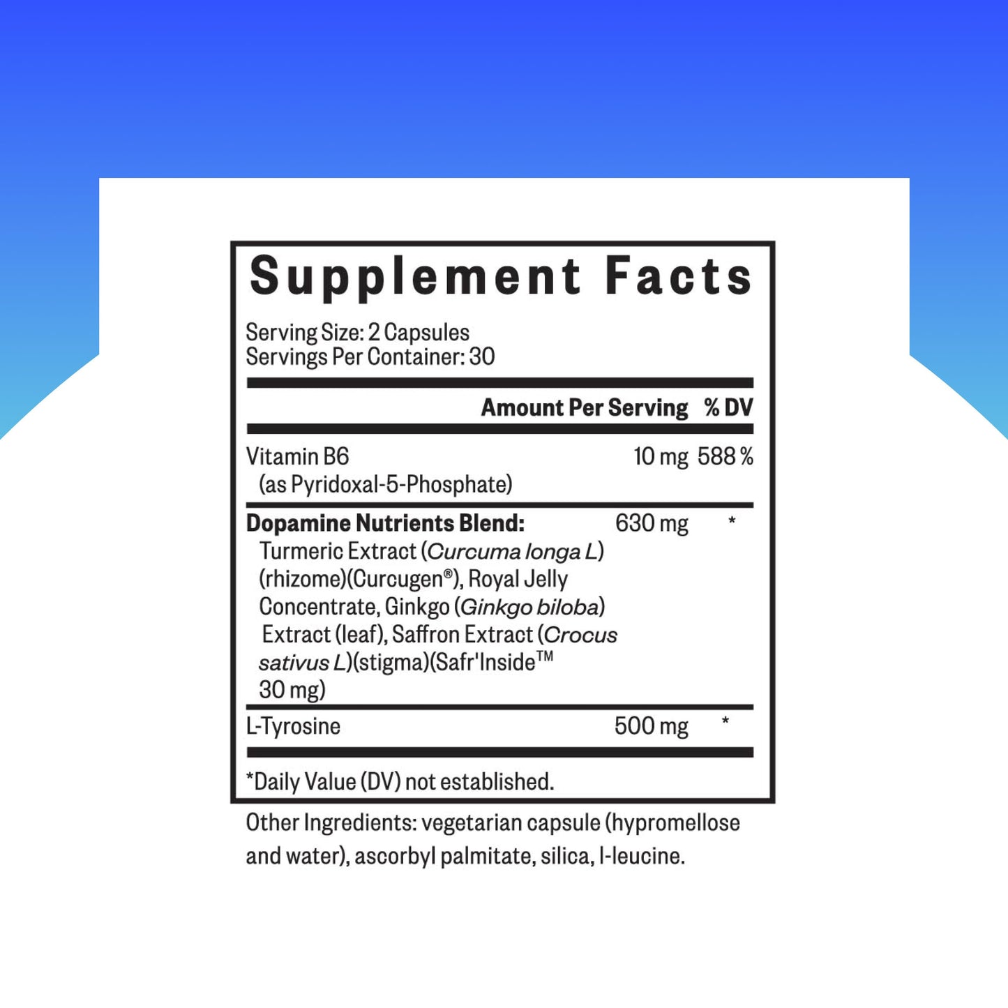 Seeking Health Dopamine Nutrients, Energy Support, Antioxidant Support, Vegetarian Capsules, 60 Capsules