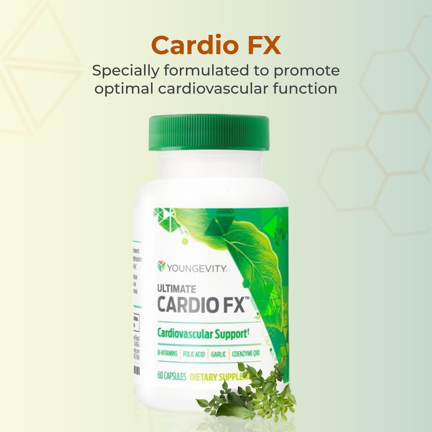 Youngevity Cardio FX Cardiovascular Support Supplement with CoQ10 Capsule, 1 Count