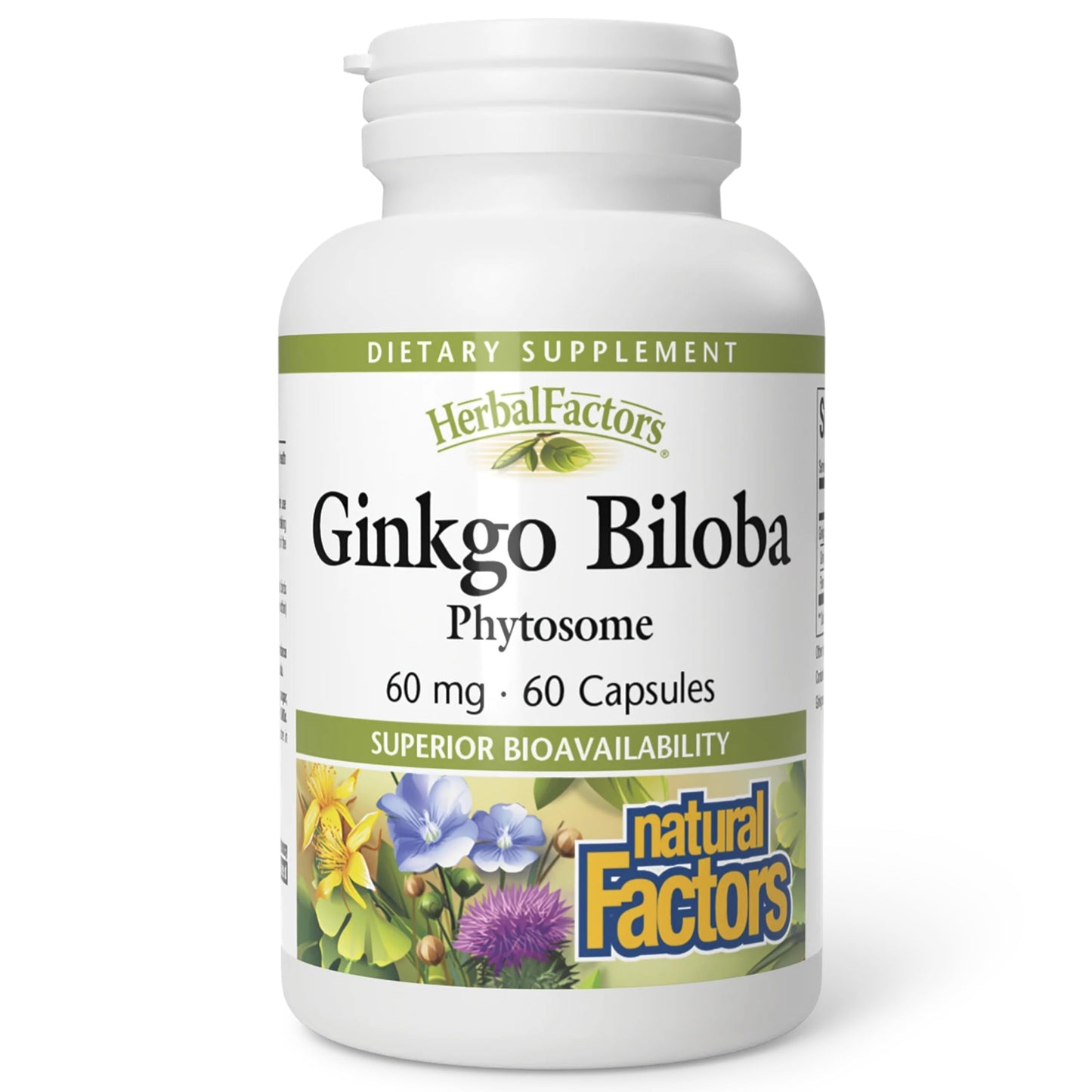 Natural Factors Ginkgo Biloba Phytosome Capsules, 60 Capsules