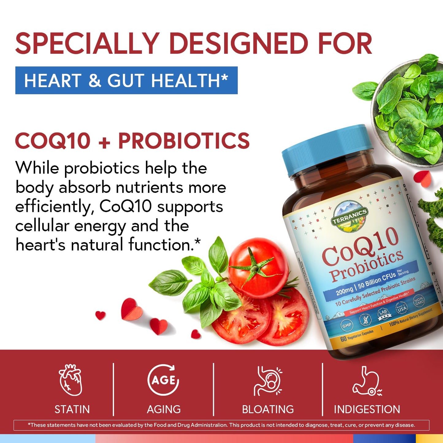 Terranics CoQ10 Probiotics for Women & Men, CoQ10 200 mg, 50 Billion CFUs, 10 Probiotic Strains, for Energy, Heart & Digestive Health, 60 Vegetarian Capsules