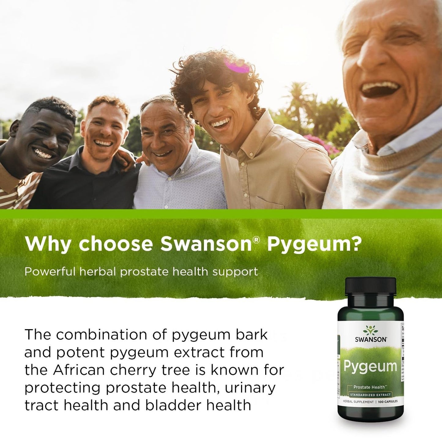 Swanson Hyssop Digestive Support 450 Milligrams, 100 Capsules
