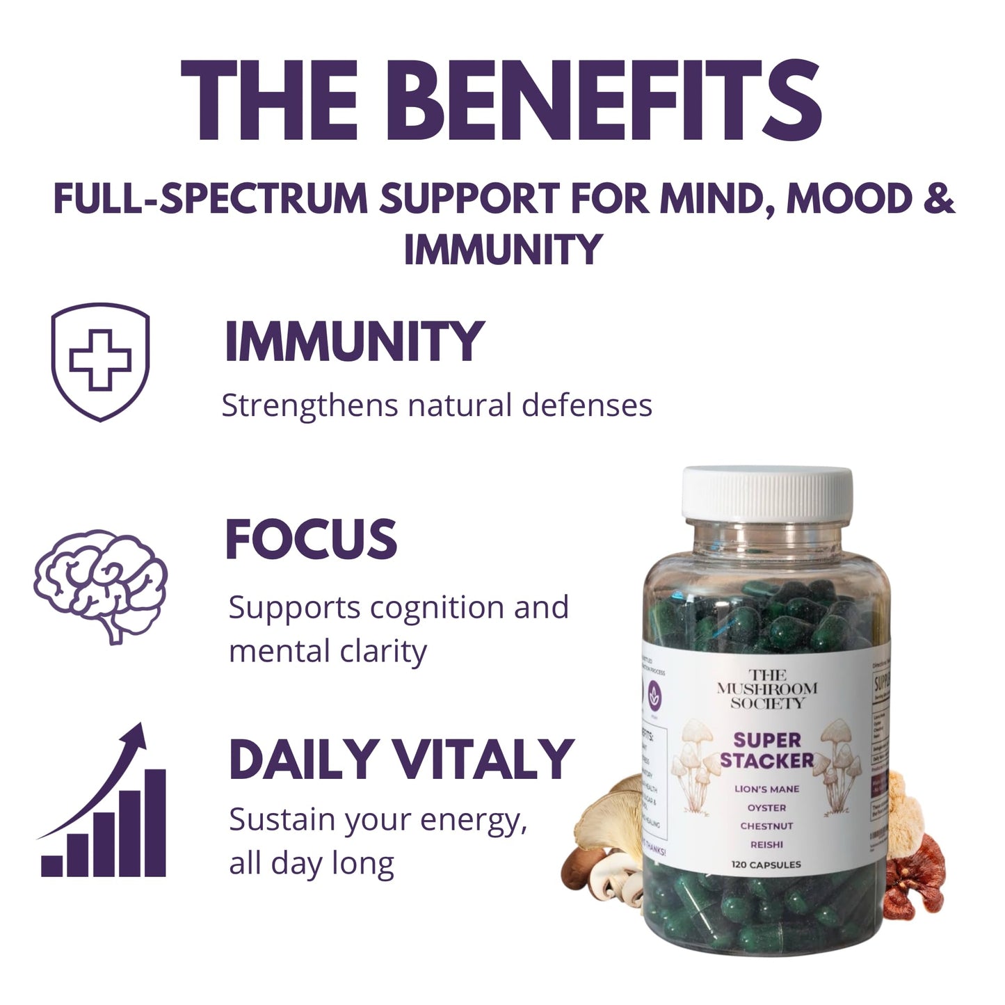 The Mushroom Society Super Stacker - 4-in-1 Mushroom Supplement Wellness Blend - Lion’s Mane, Oyster, Chestnut & Reishi - Immune, Focus & Daily Vitality 60 Capsules
