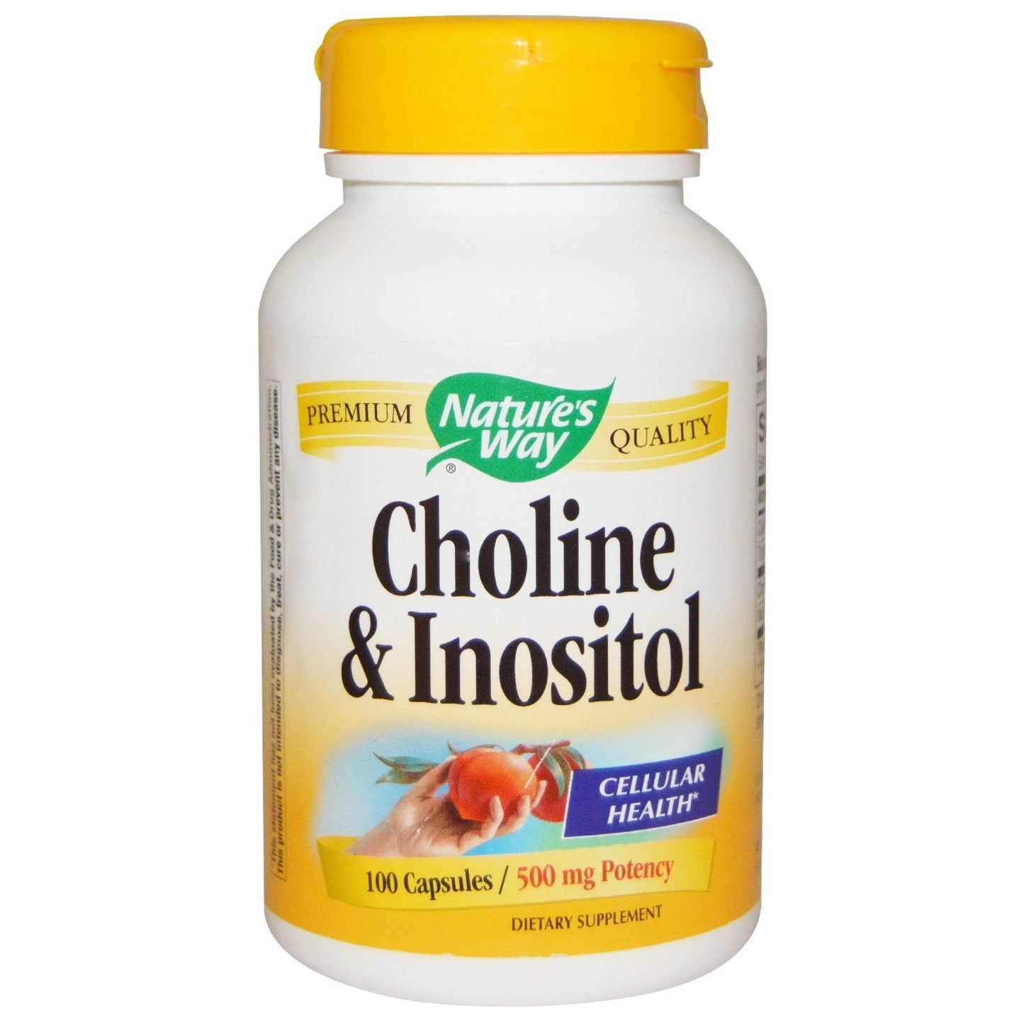 Nature's Way Choline/Inositol Capsules 200