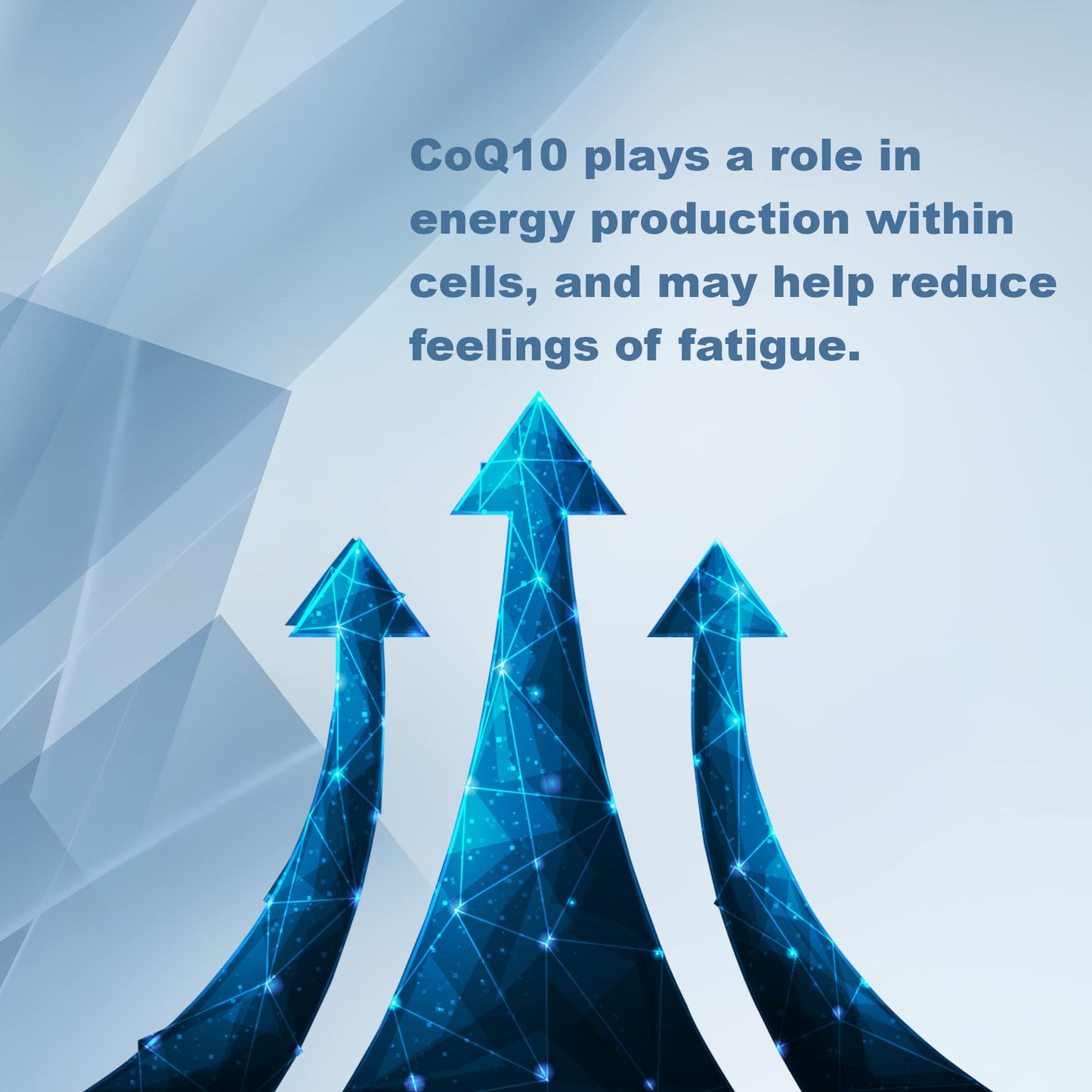 LifeLink CoQ10 500 mg Capsule, 60 Capsules
