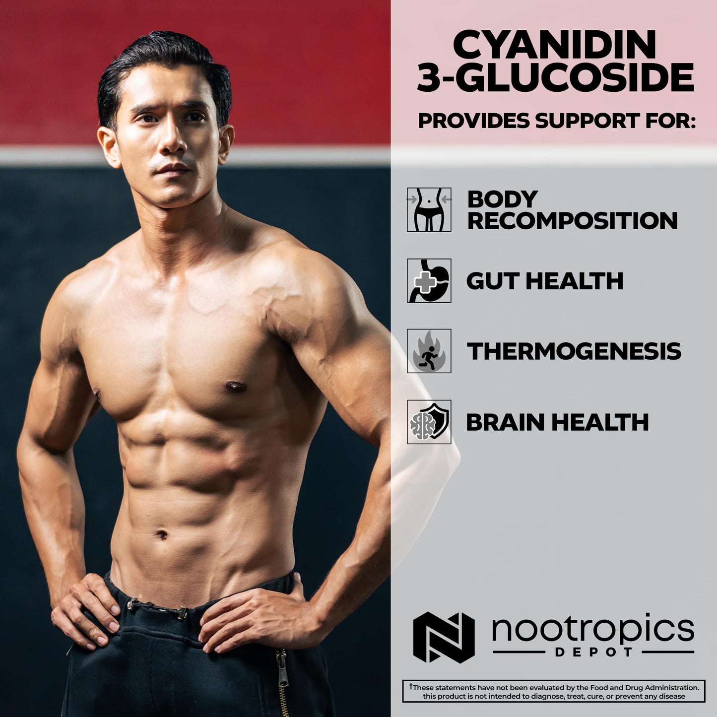 Nootropics Depot Cyanidin 3-Glucoside Capsules, 180 Count