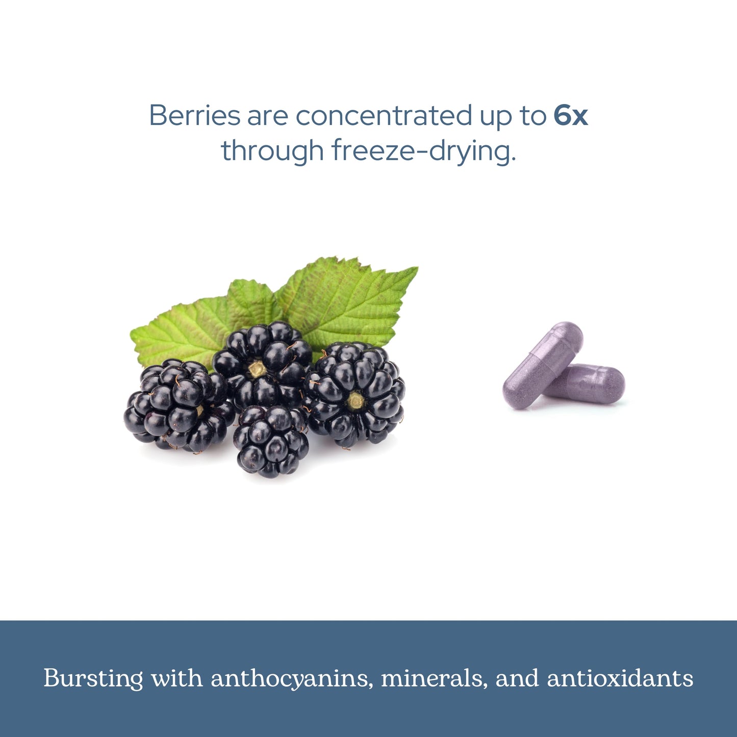 Eclectic Institute BlackBerry Fruit Capsules 90 Count