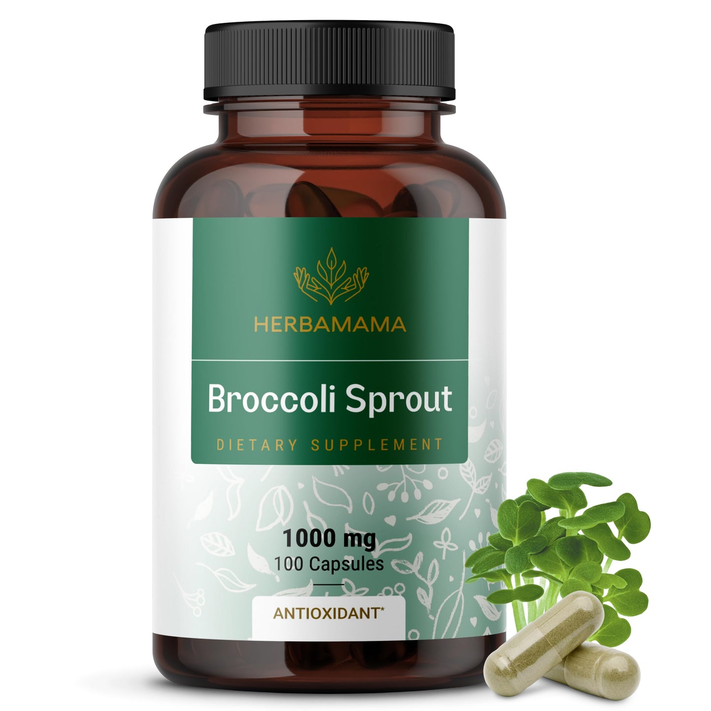 HERBAMAMA Sulforaphane Supplement from Broccoli Sprouts – 1000 mg Broccoli Sprout Extract for Immune Support & Antioxidant Support, 100 Vegan Capsules