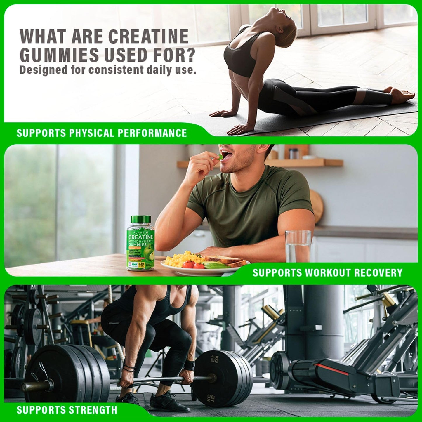 PLANT.O NUTRITION Creatine Monohydrate Capsules 60 Count