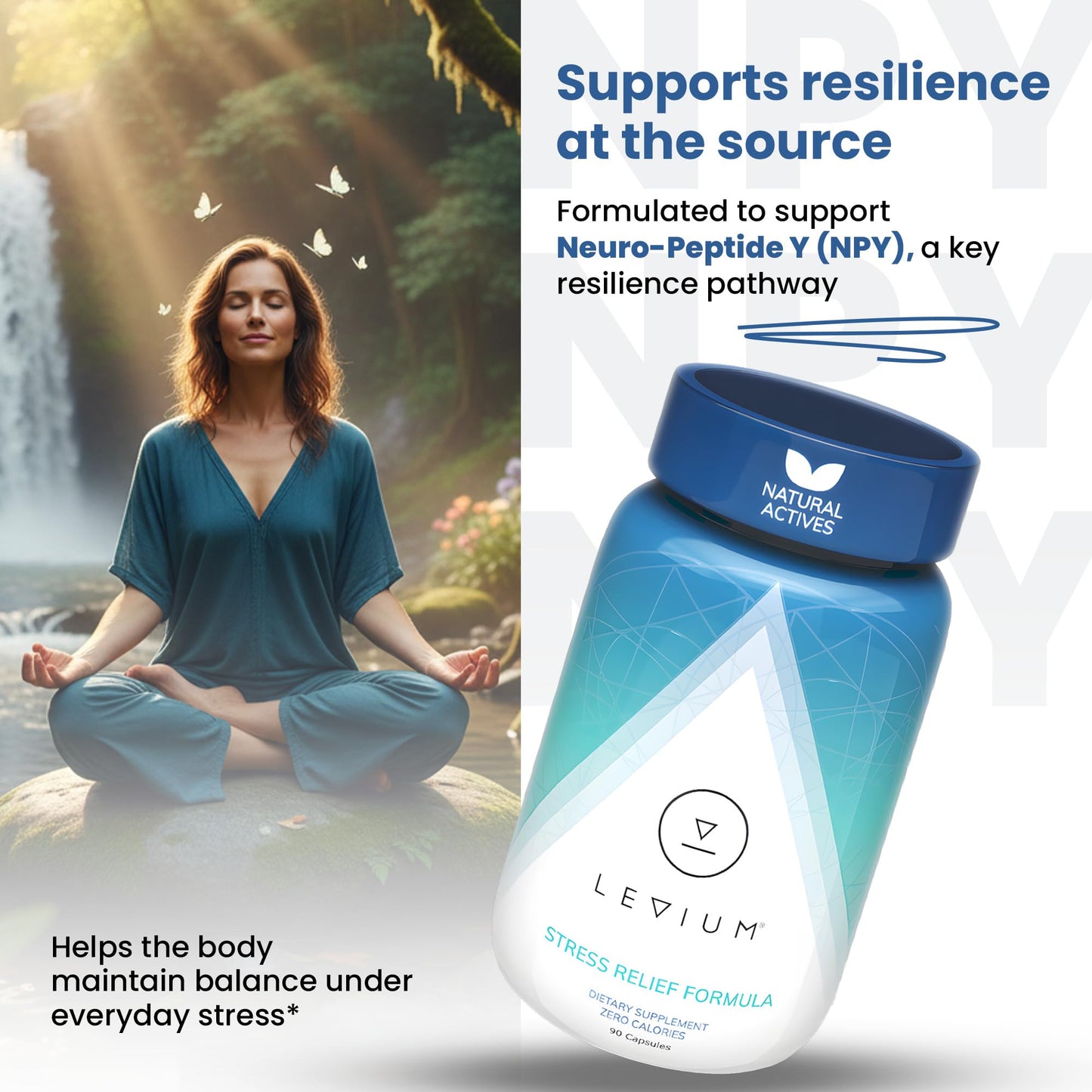 Levium Stress Supplement for Calm & Mood Support Capsules, 90 Count