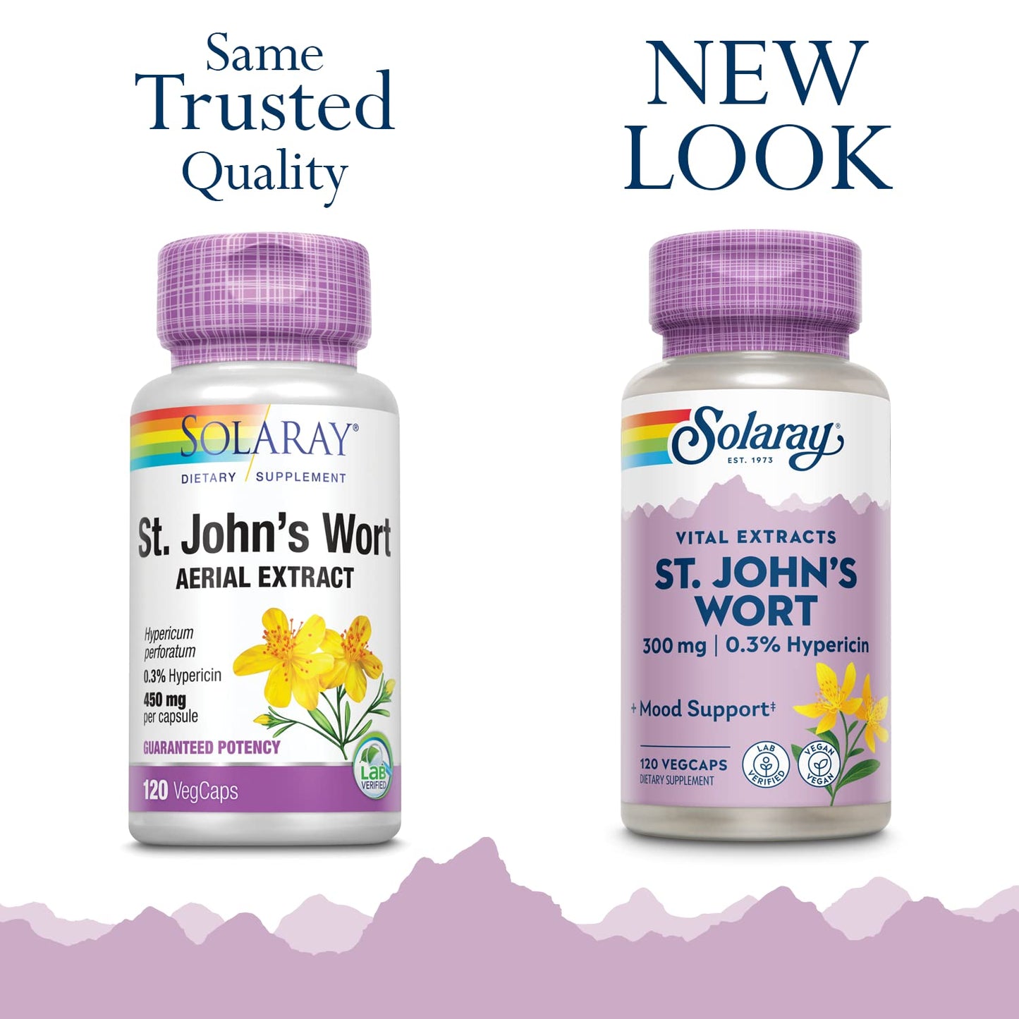 Solaray St John's Wort Aerial Extract 300 mg, 0.3% Hypericin Mood & Brain Health Support, Vegan & Lab Verified for Quality, 120 Capsules