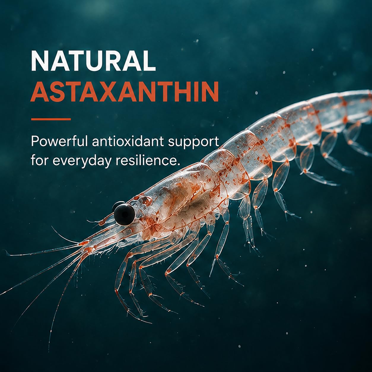 SAP AstaKrill Antarctic Krill Oil 1600mg Softgels 60 Count
