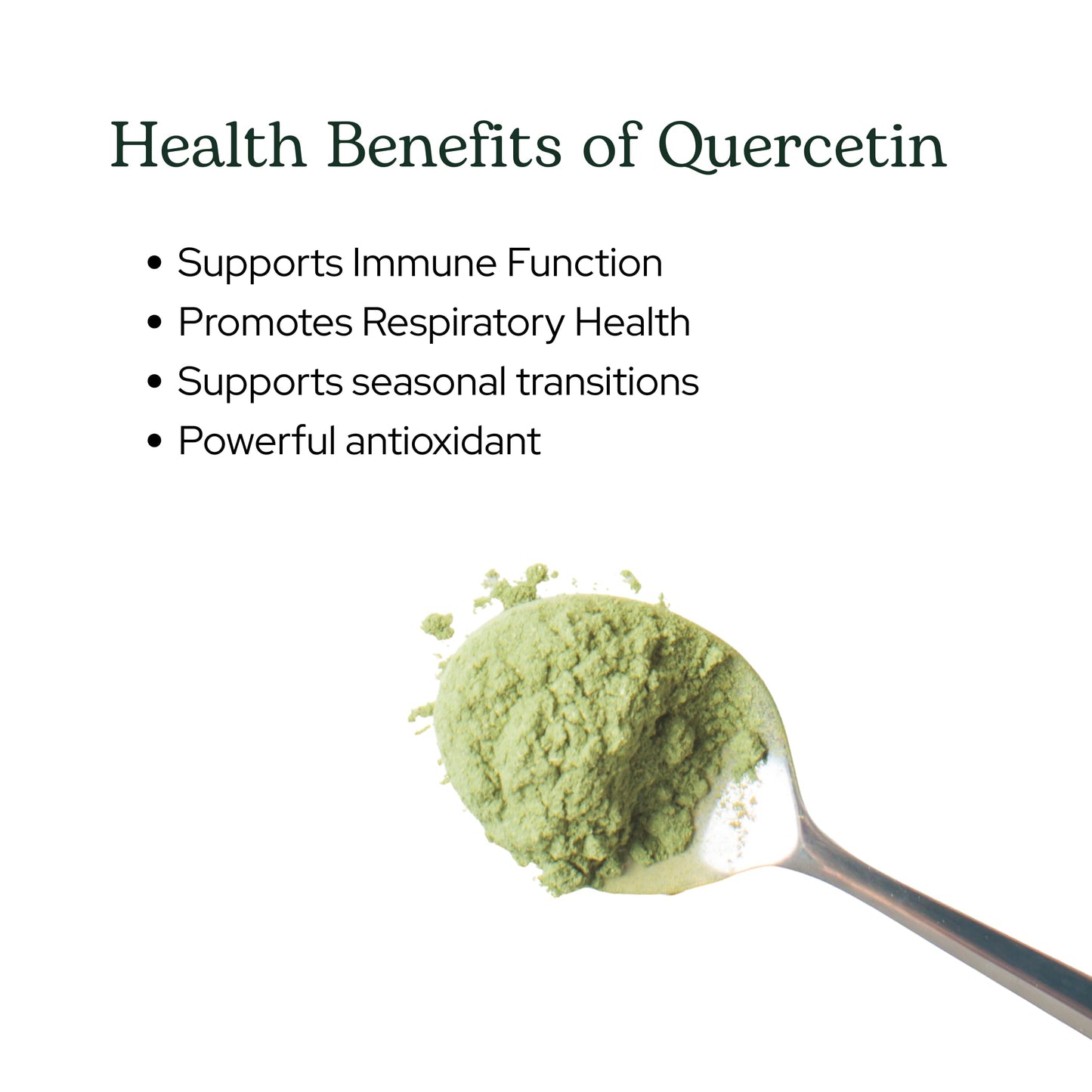 Eclectic Institute Raw Fresh Freeze-Dried Quercetin Flavonoid Complex Whole Food Powder 3.2 oz