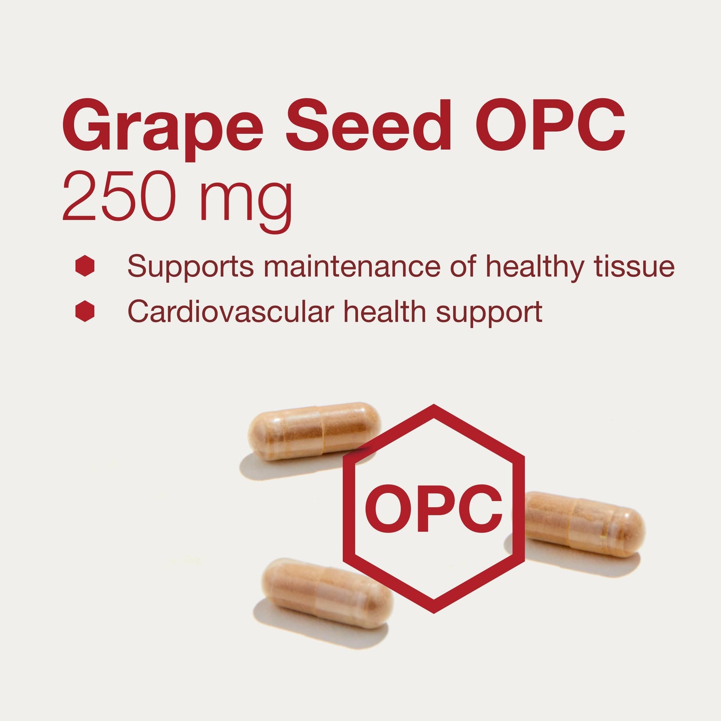 Protocol for Life Balance Grape Seed OPC 250mg - 90% Polyphenols with Rutin & Amla Fruit Extract Capsule, 90 Veg Caps