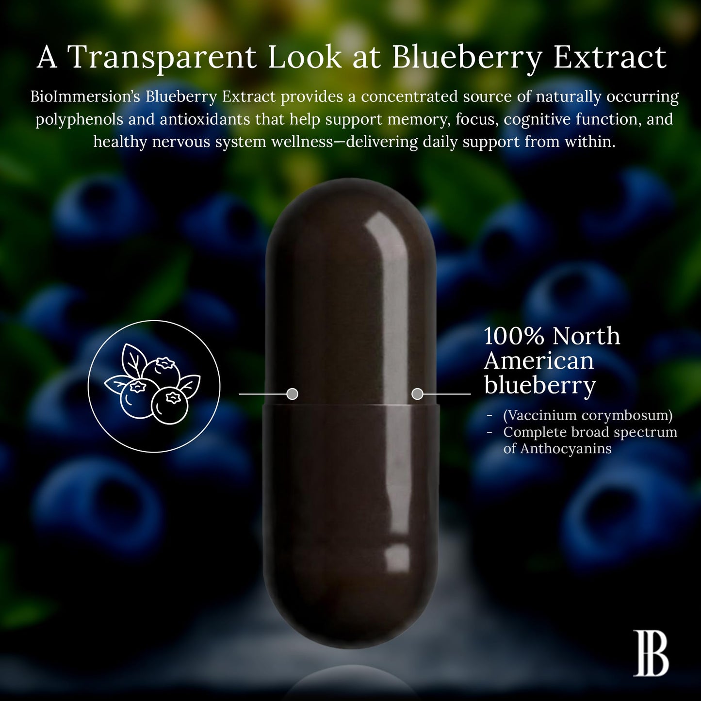 BioImmersion North American Blueberry Extract 500mg Capsules 60 Count