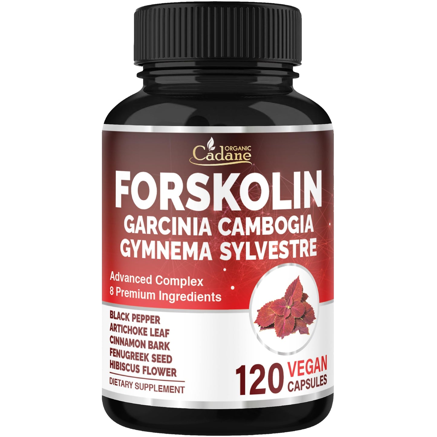 Organic Cadane Forskolin Supplement, 120 Capsules