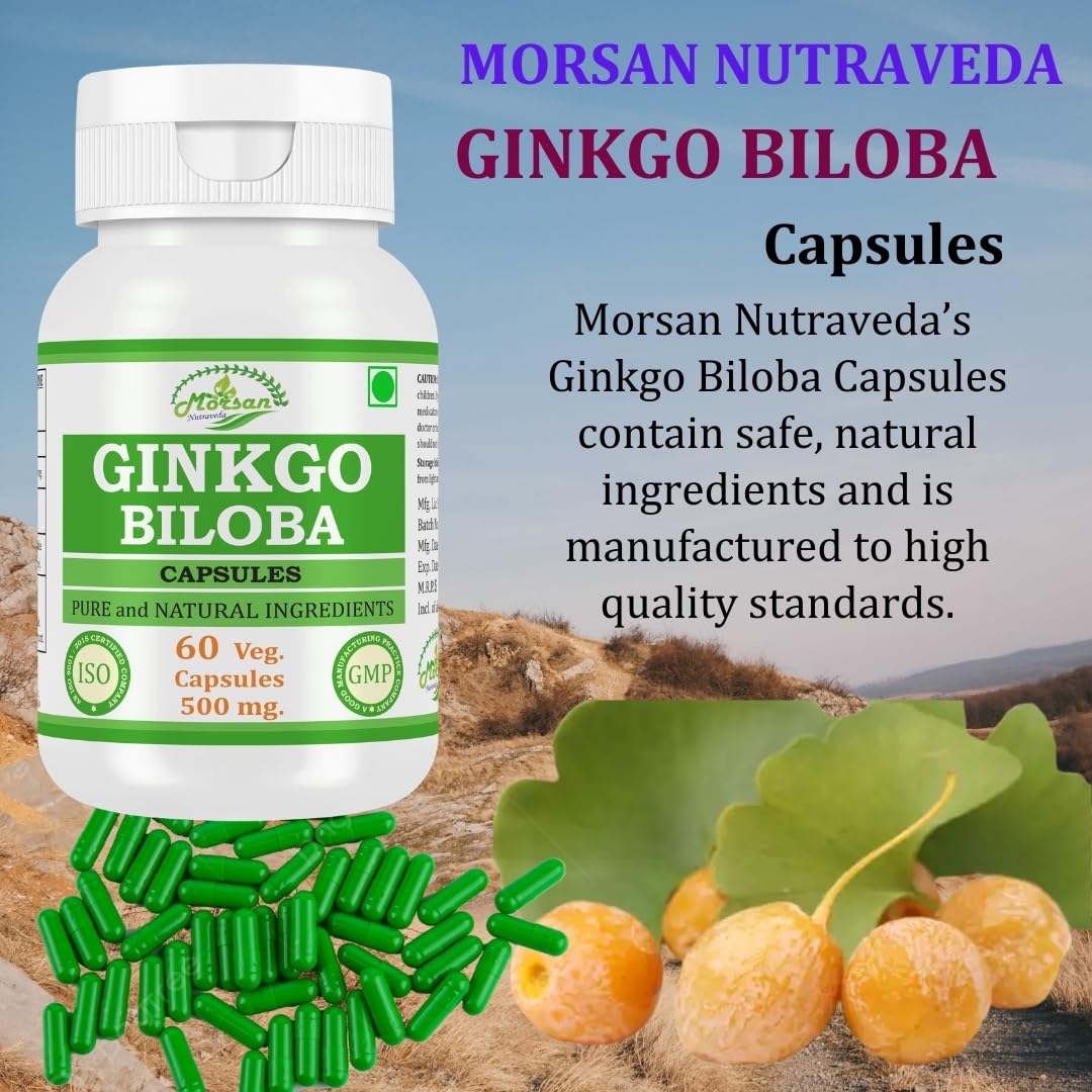 Morsan Nutraveda Ginkgo Biloba Capsules 500 mg, 240 Count