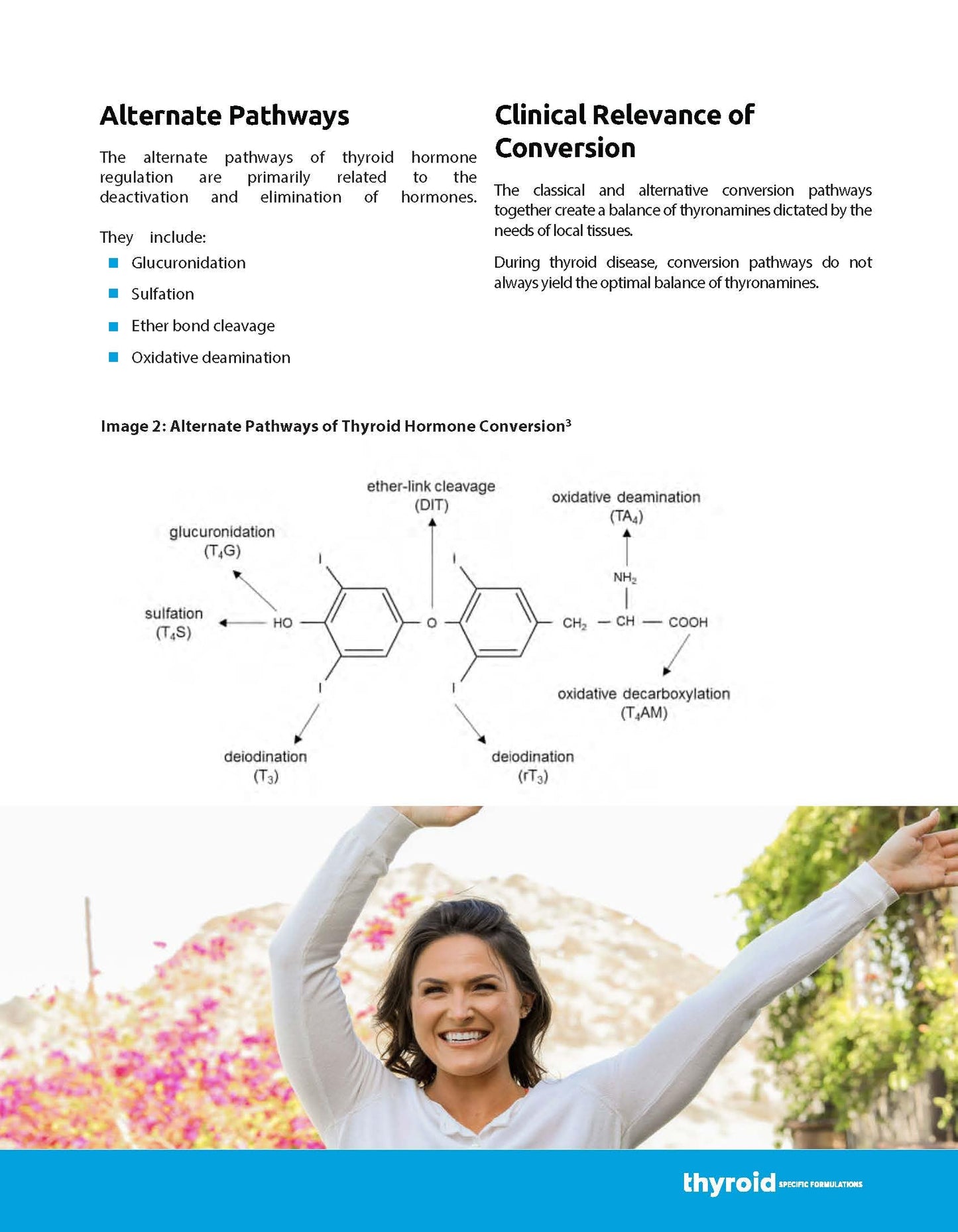Thyroid Specific Formulations T2 T3 Conversion Booster 60 Capsules