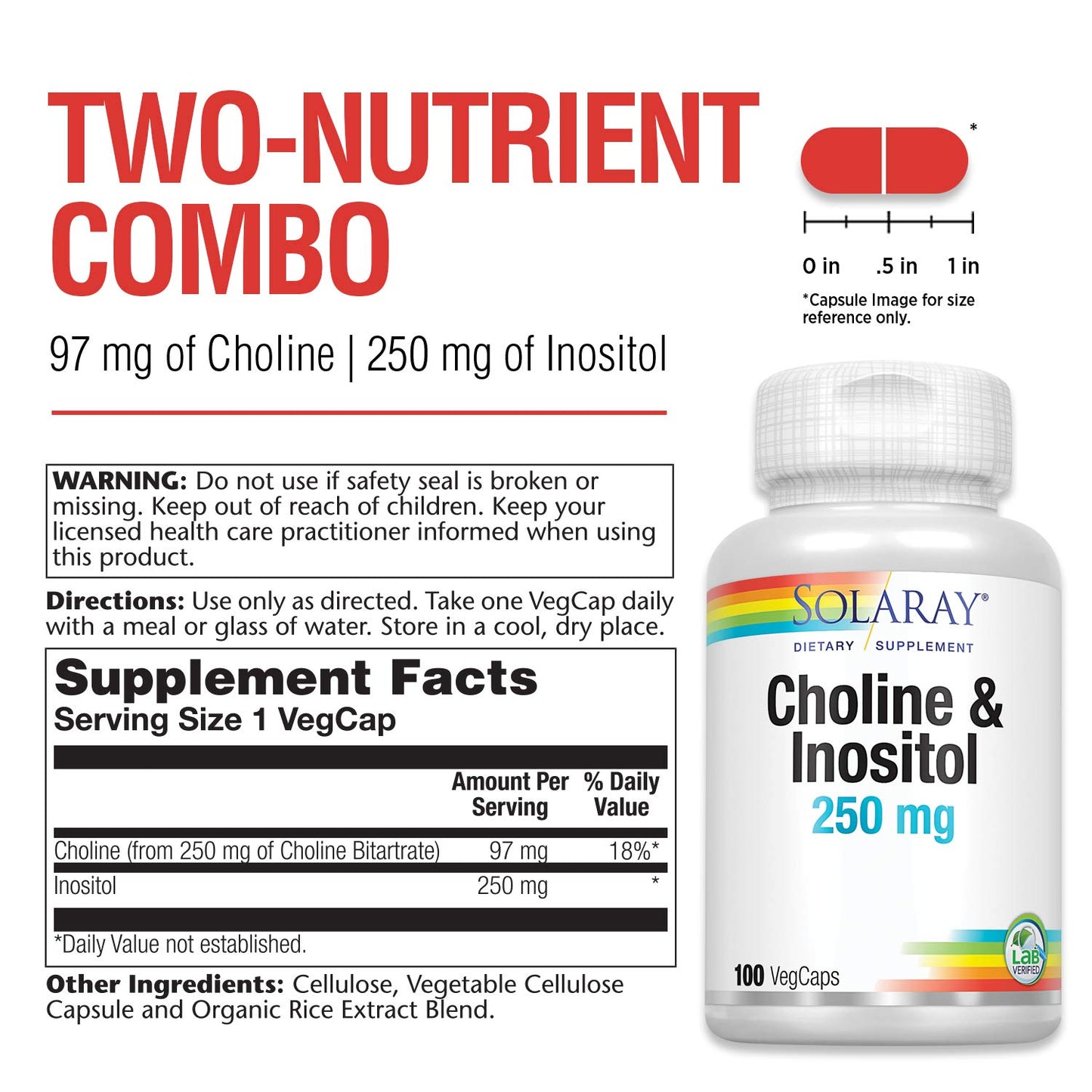 SOLARAY Choline & Inositol 250 mg Two-Nutrient Combo for Healthy Fat Metabolism, Brain Function Support Capsules 100